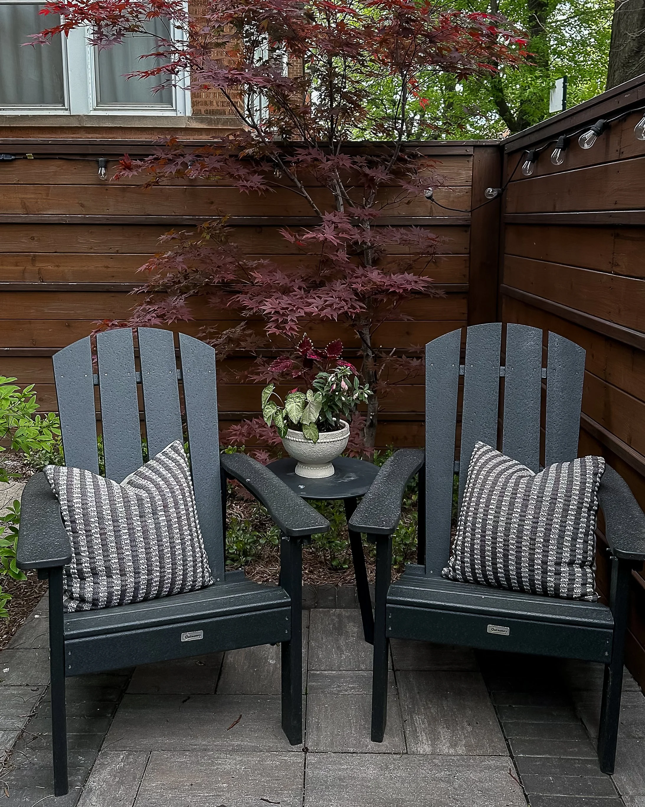 shaded summer planter ideas.jpg