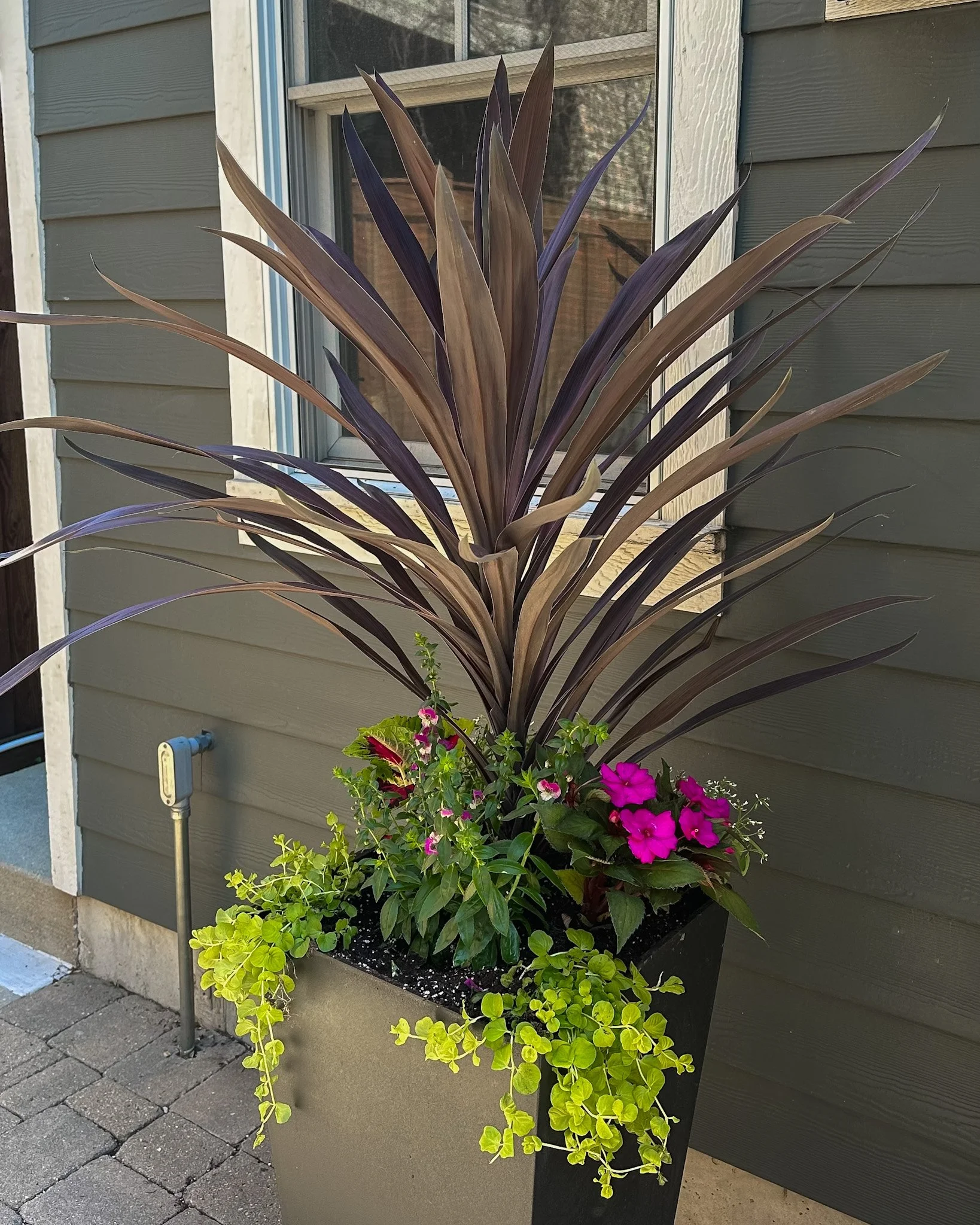 chicago doorstep planter gardener.jpg