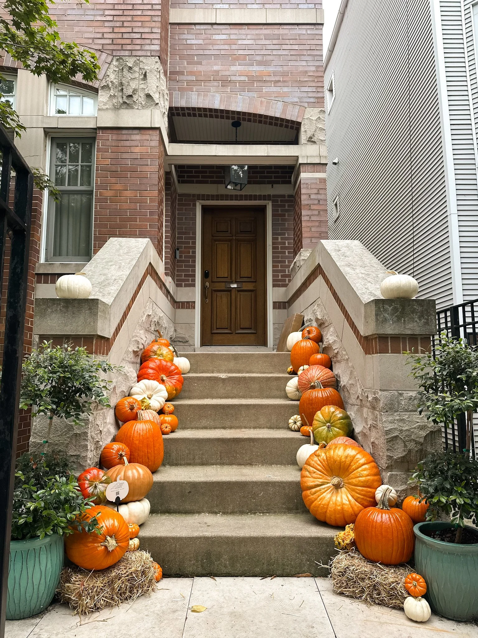 chicago pumpkin porches.jpg
