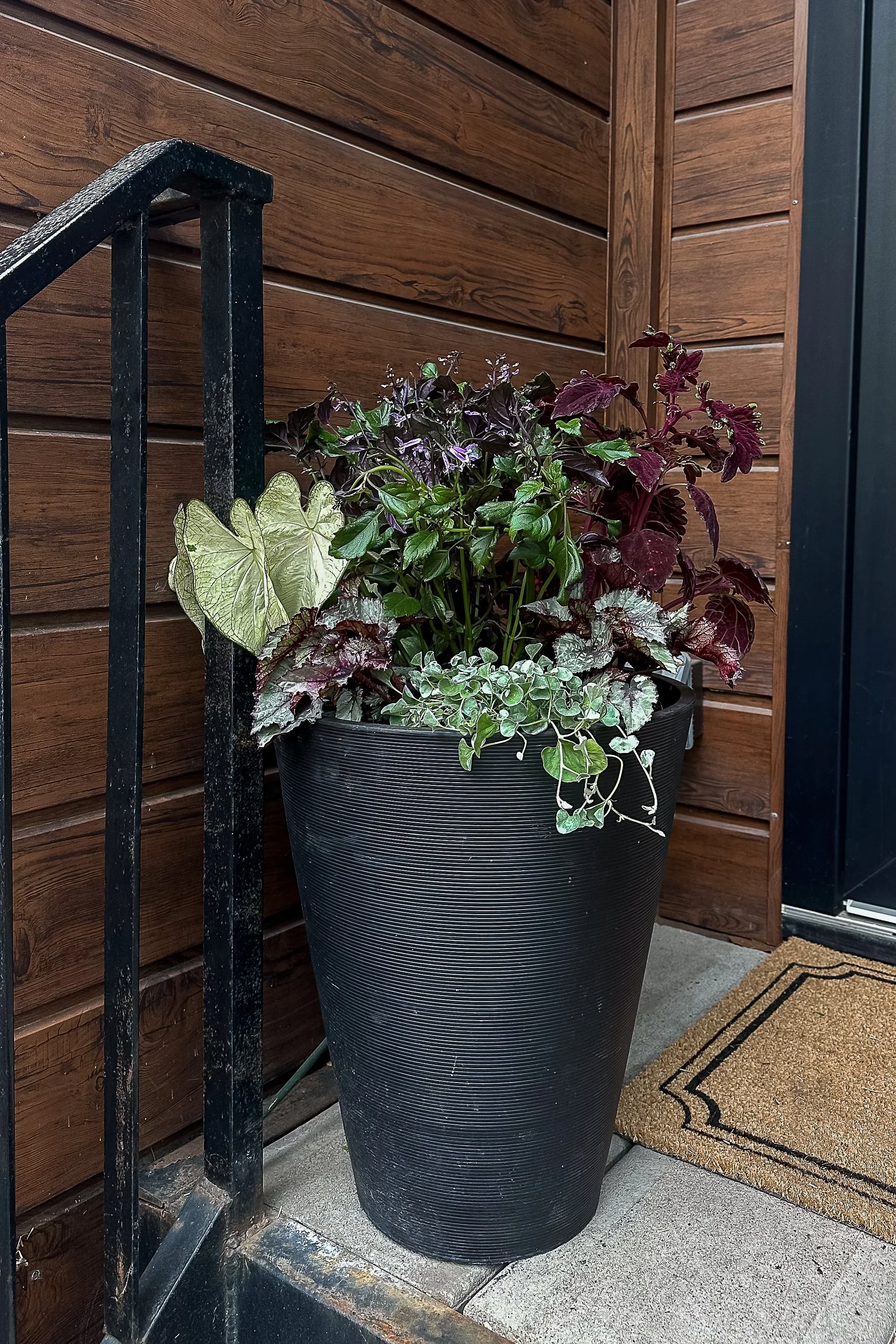 shaded summer chicago container ideas.jpg