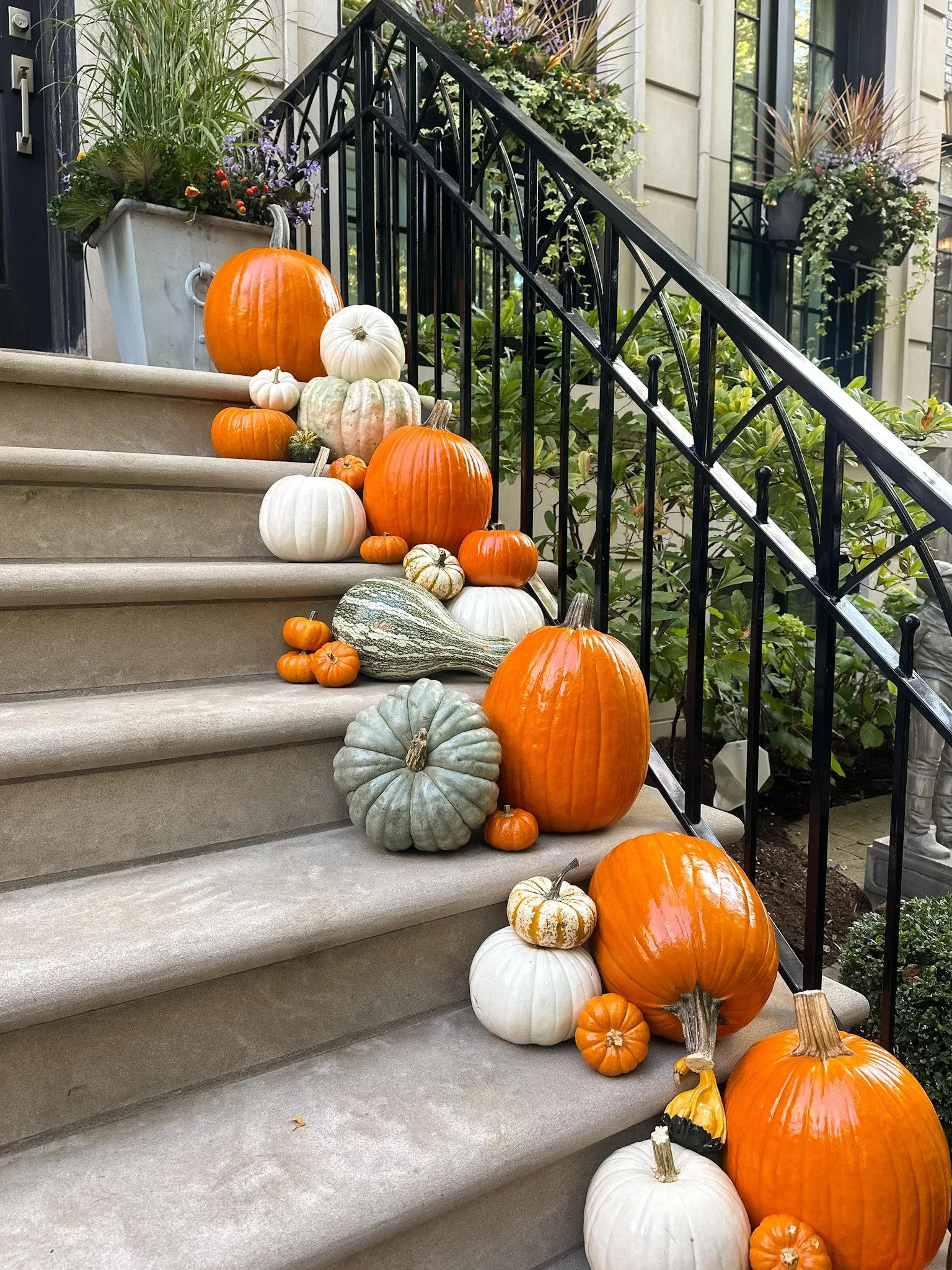 chicago porch pumpkins.jpg