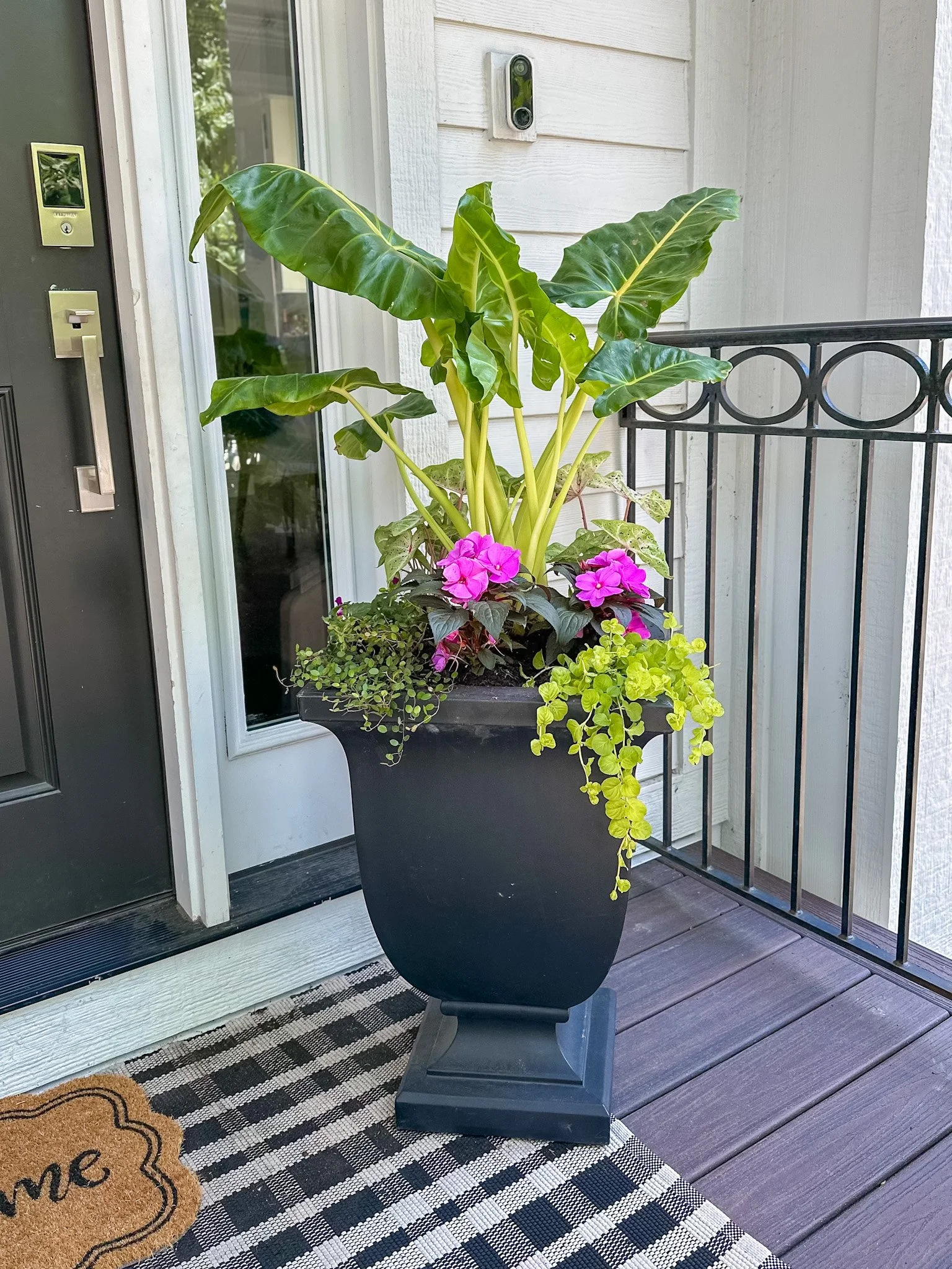 Summer Pots & Containers