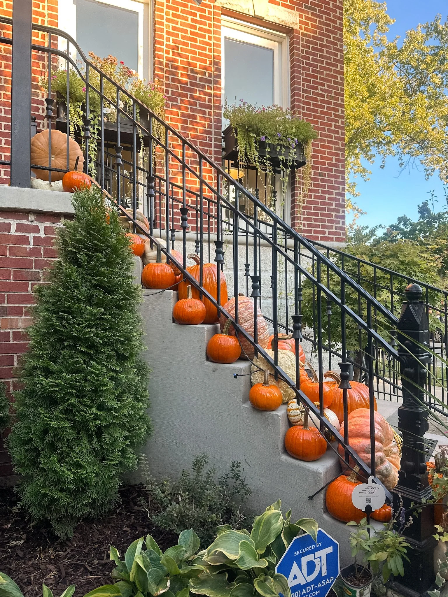 chicago pumpkin delivery front steps.jpg