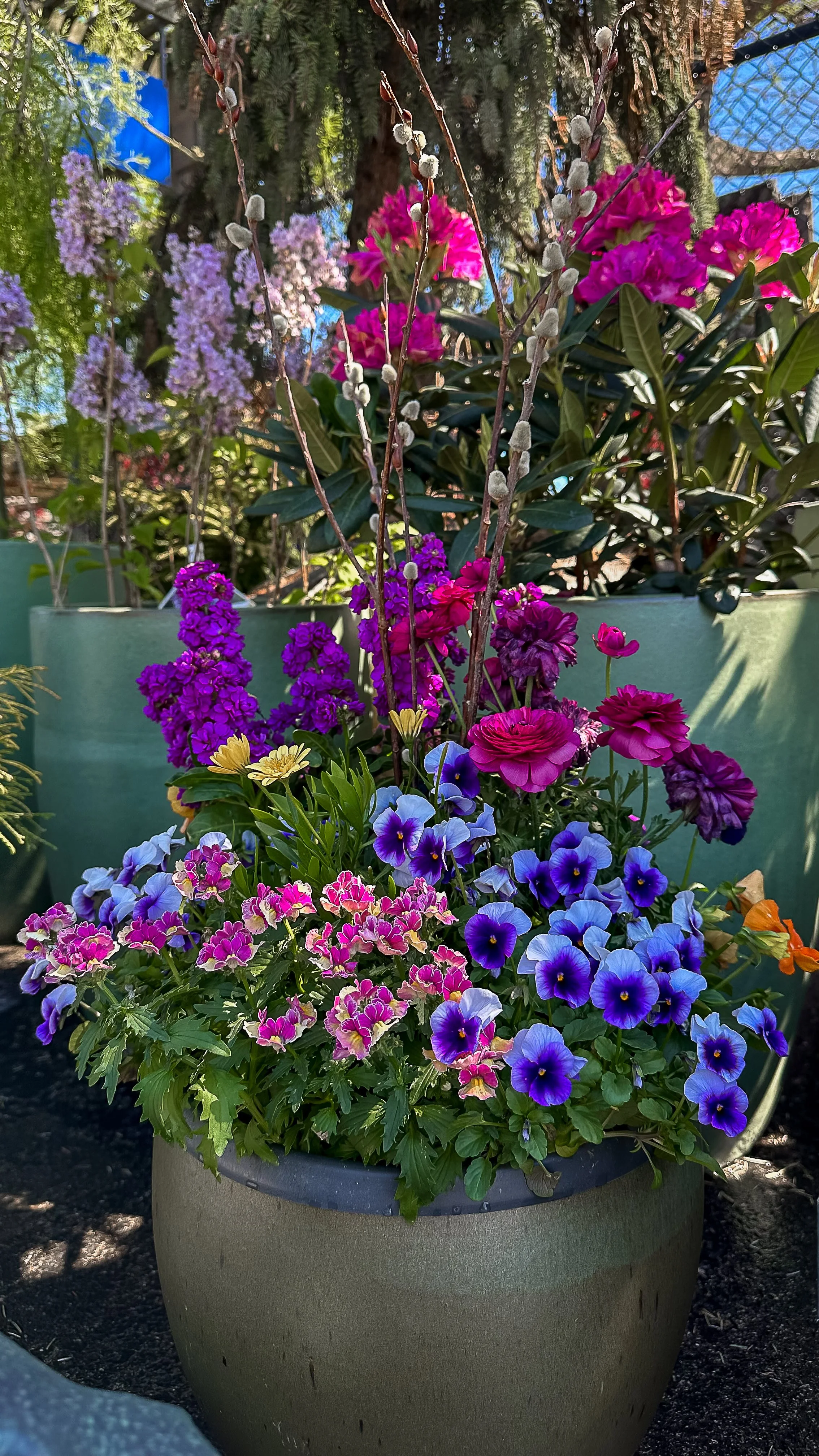 spring containers chicago.jpg