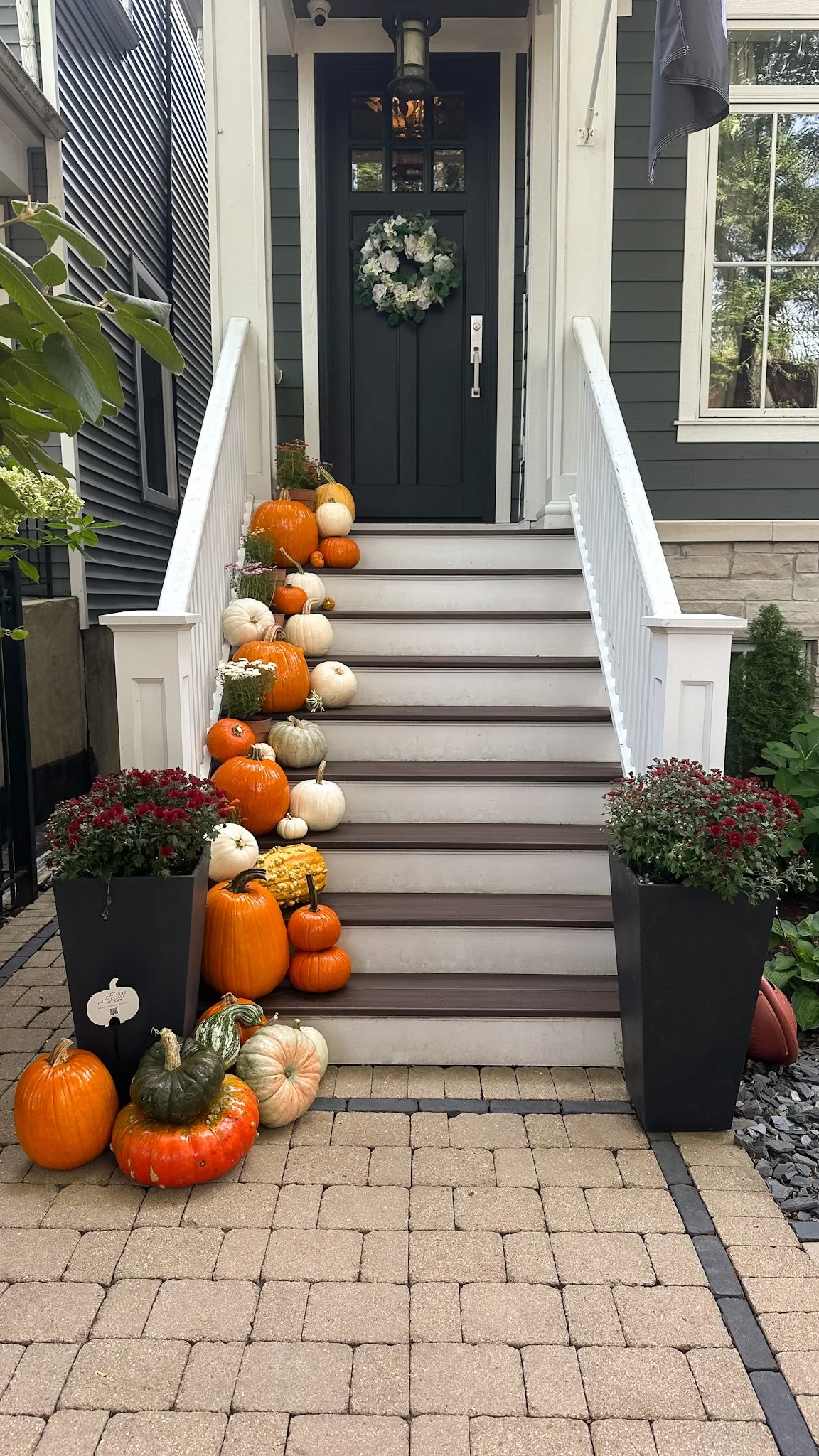 chicago pumpkin delivery.jpg