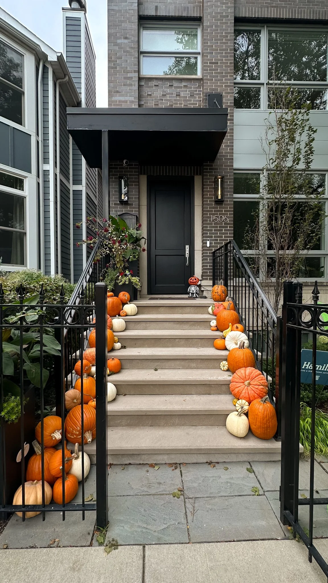 chicago halloween pumpkin decorators.jpg