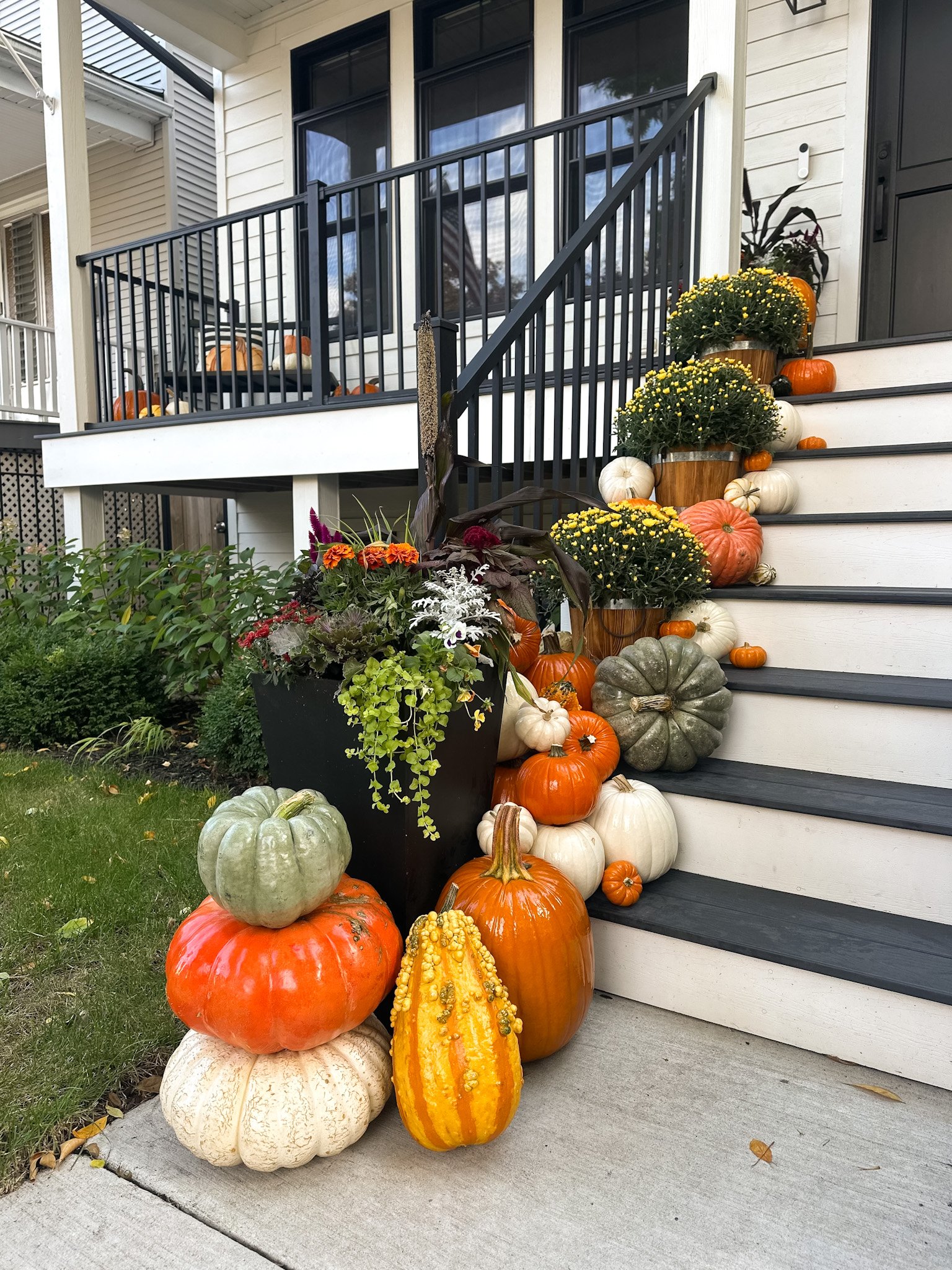chicago fall front stoop.jpg