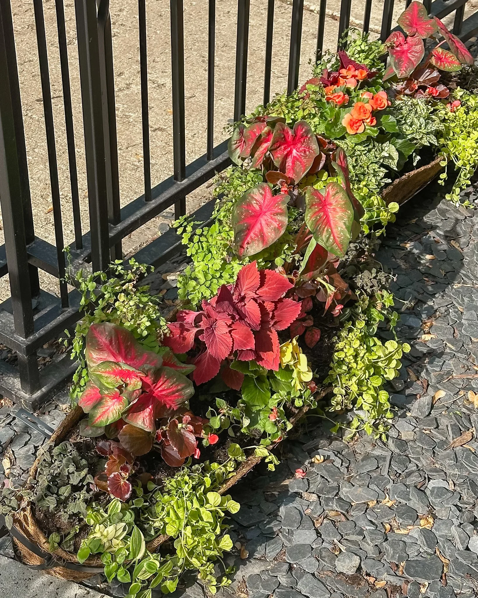 chicago window box planter.jpg