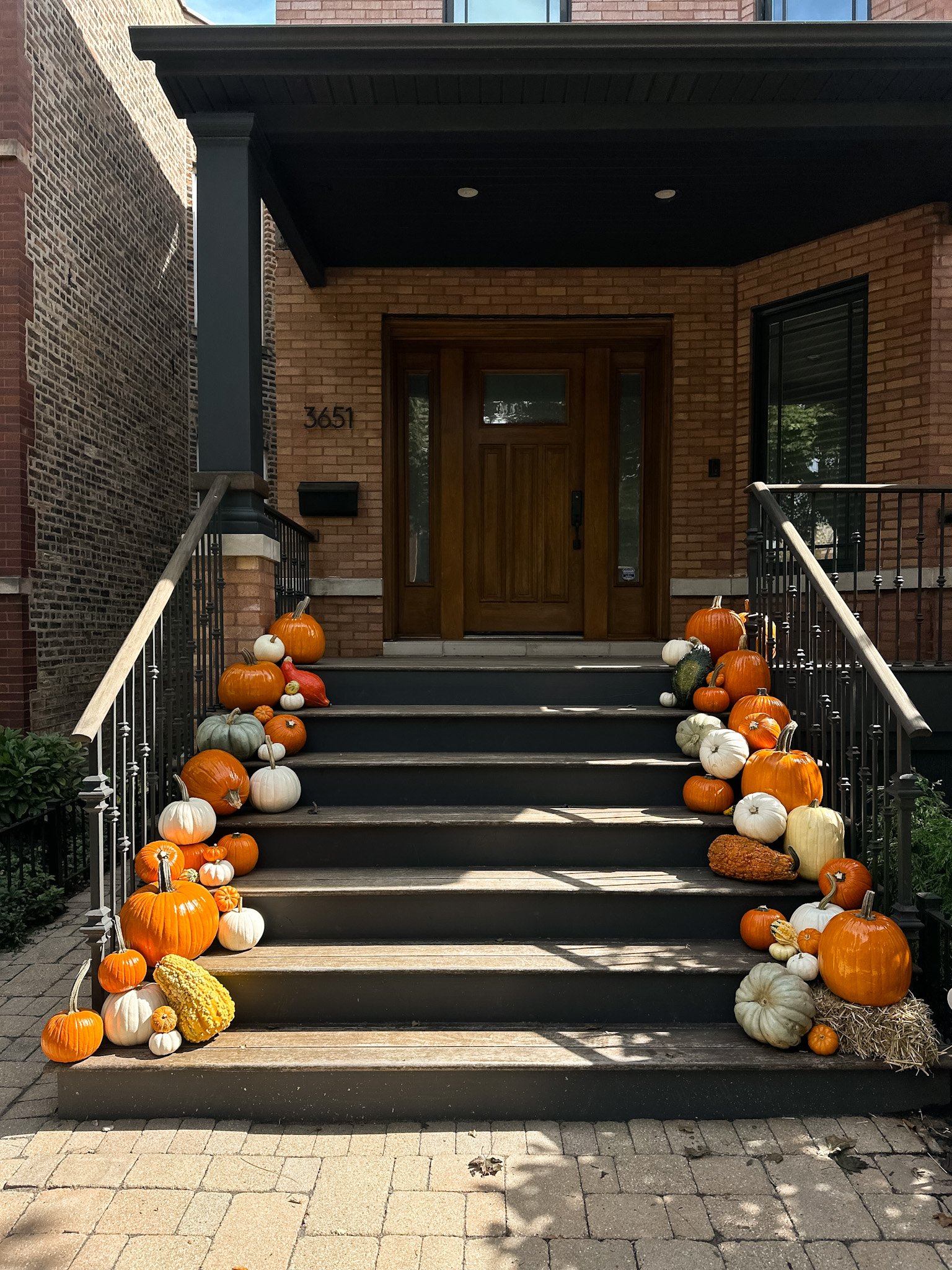 chicago porch pumpkin company.jpg