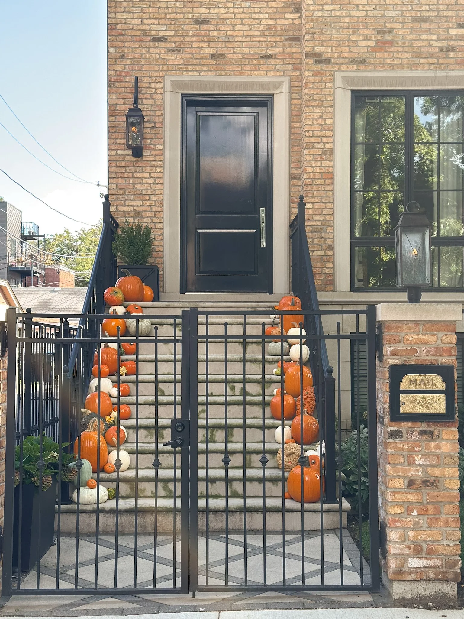 chicago pumpkin styling service.jpg
