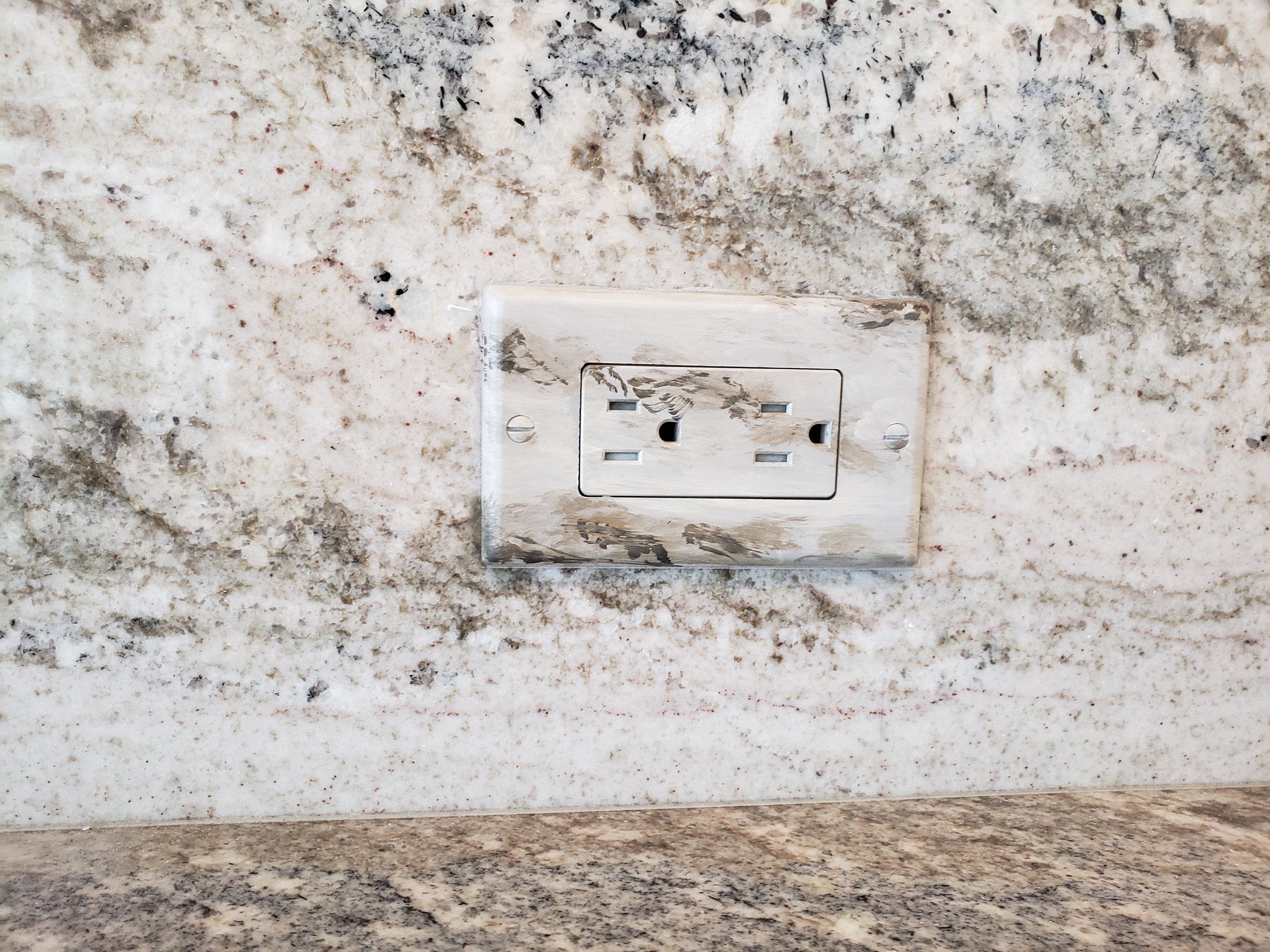 painted Switchplate
