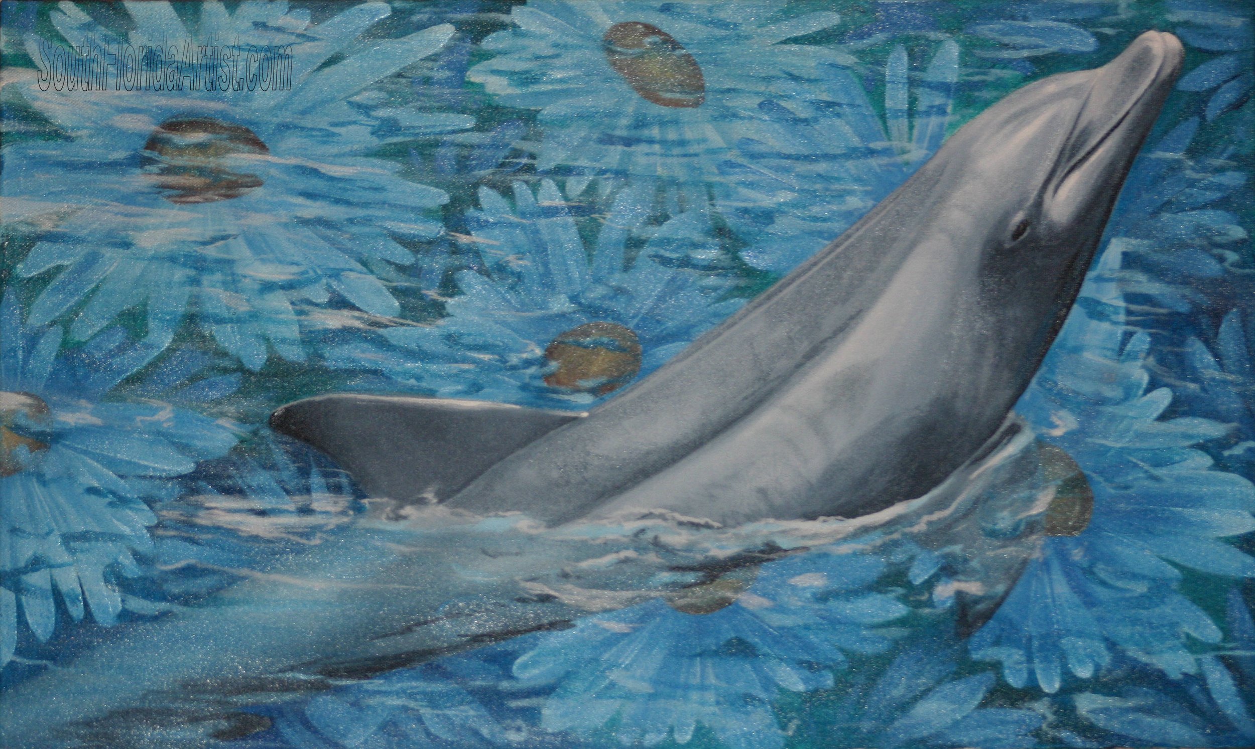 dolphin daisy.jpg