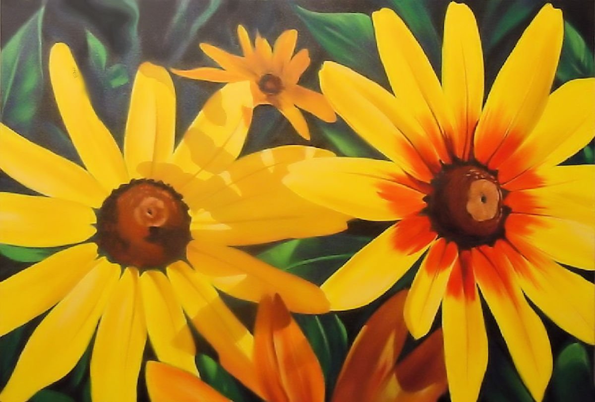 Gloriosa Dasies.jpg