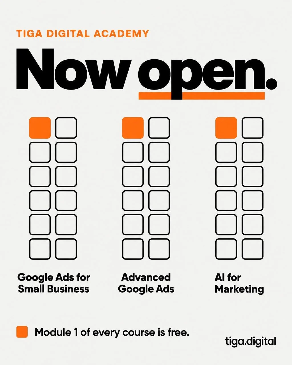 Tiga Digital Academy is now live.

It's a practical training platform for business owners, marketers, freelancers and agency professionals. It teaches the commercial thinking, systems, workflows and technical skills used in real campaigns.

Three sel