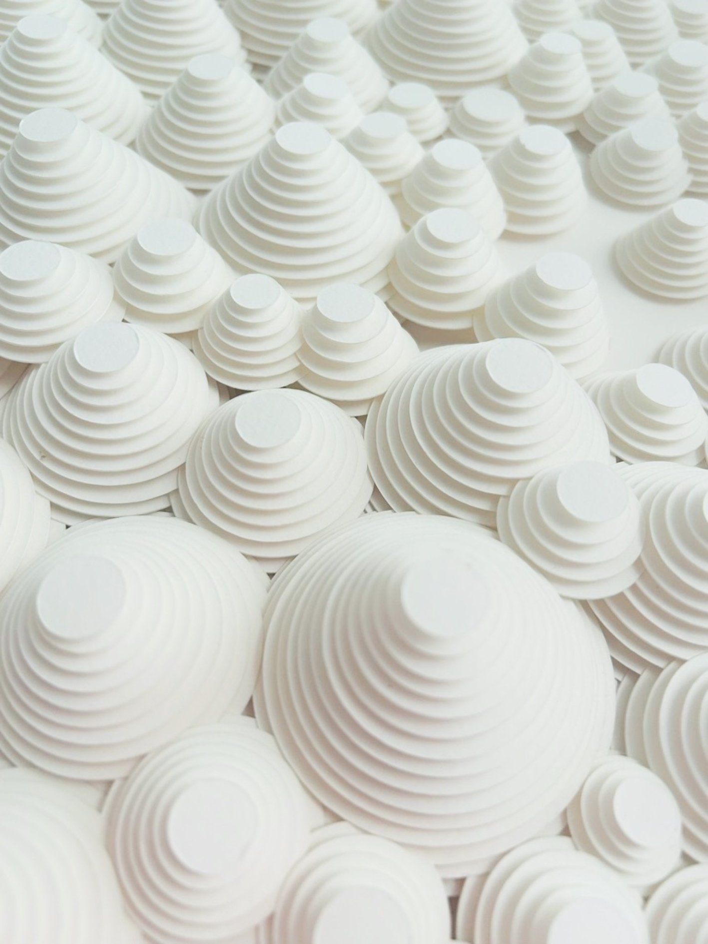 Colonies close up.jpg