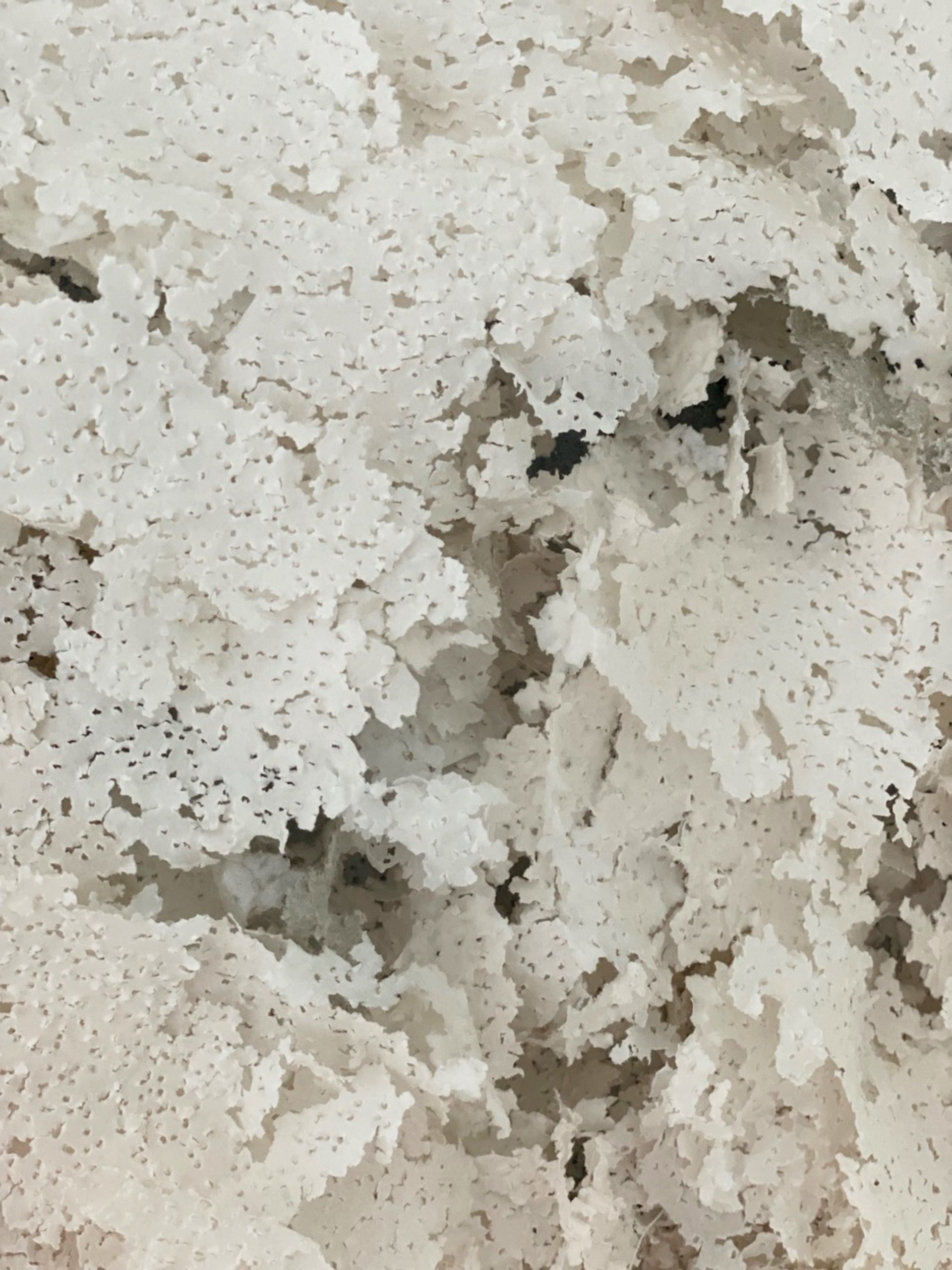 lunar landsacapes web #009.jpg