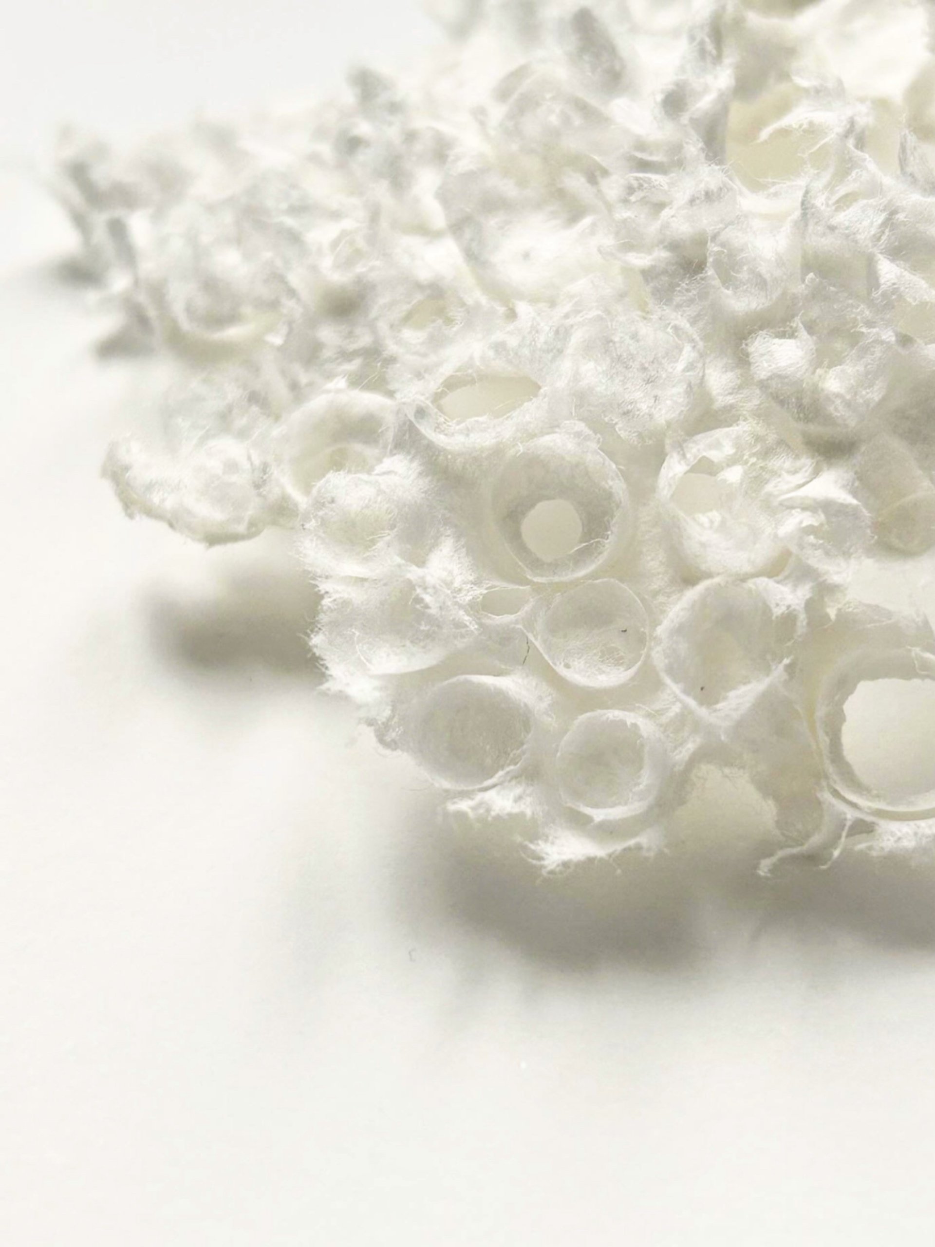 moon stone web #002.jpg