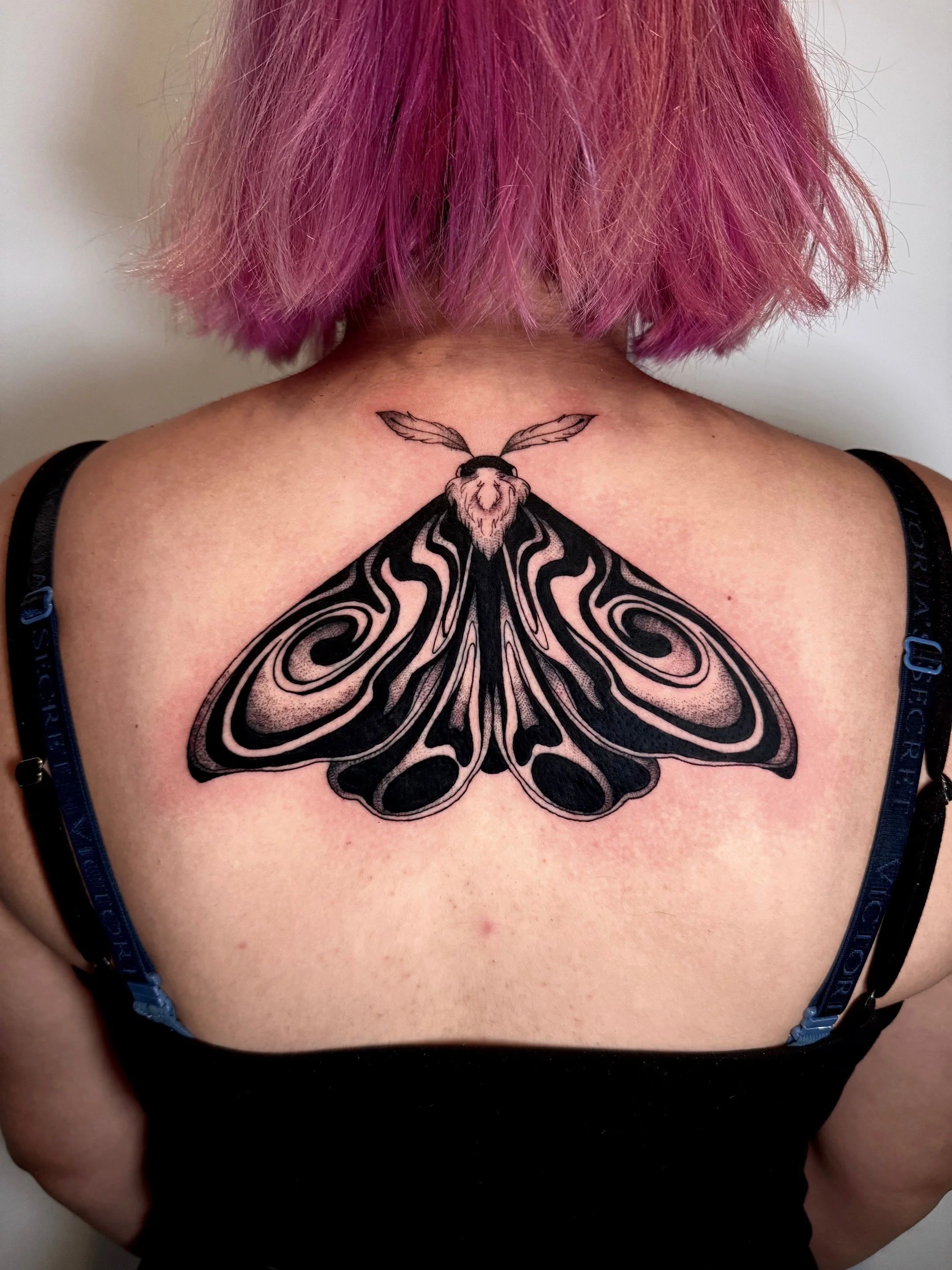 A person with pink hair showing a large, black and pink moth tattoo on their upper back and shoulders.