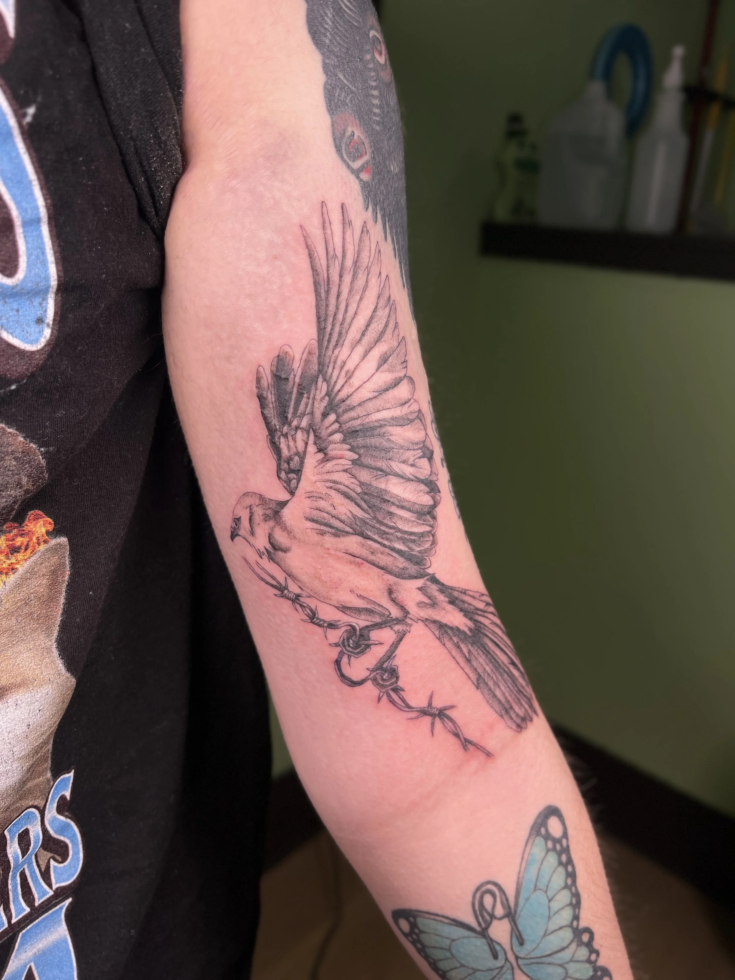 Tattoo of a large butterfly on a person's arm, with other smaller tattoos including a bird and a barbed wire.