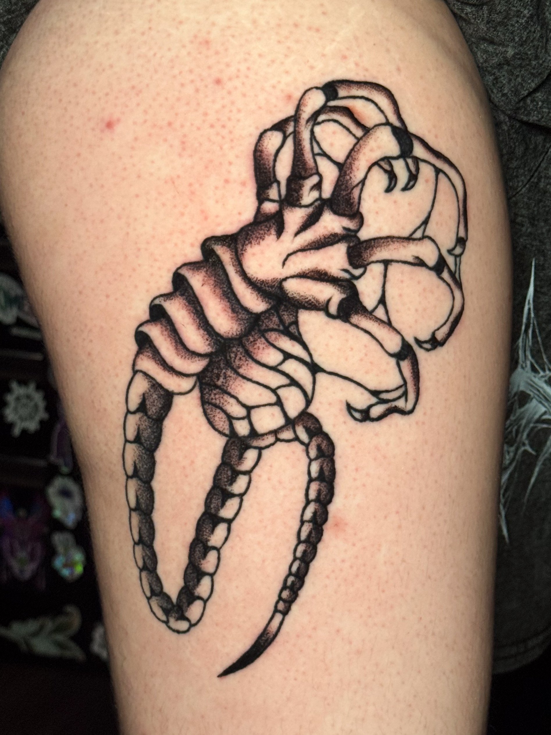 Tattoo of a detailed black outline of a snake on skin.