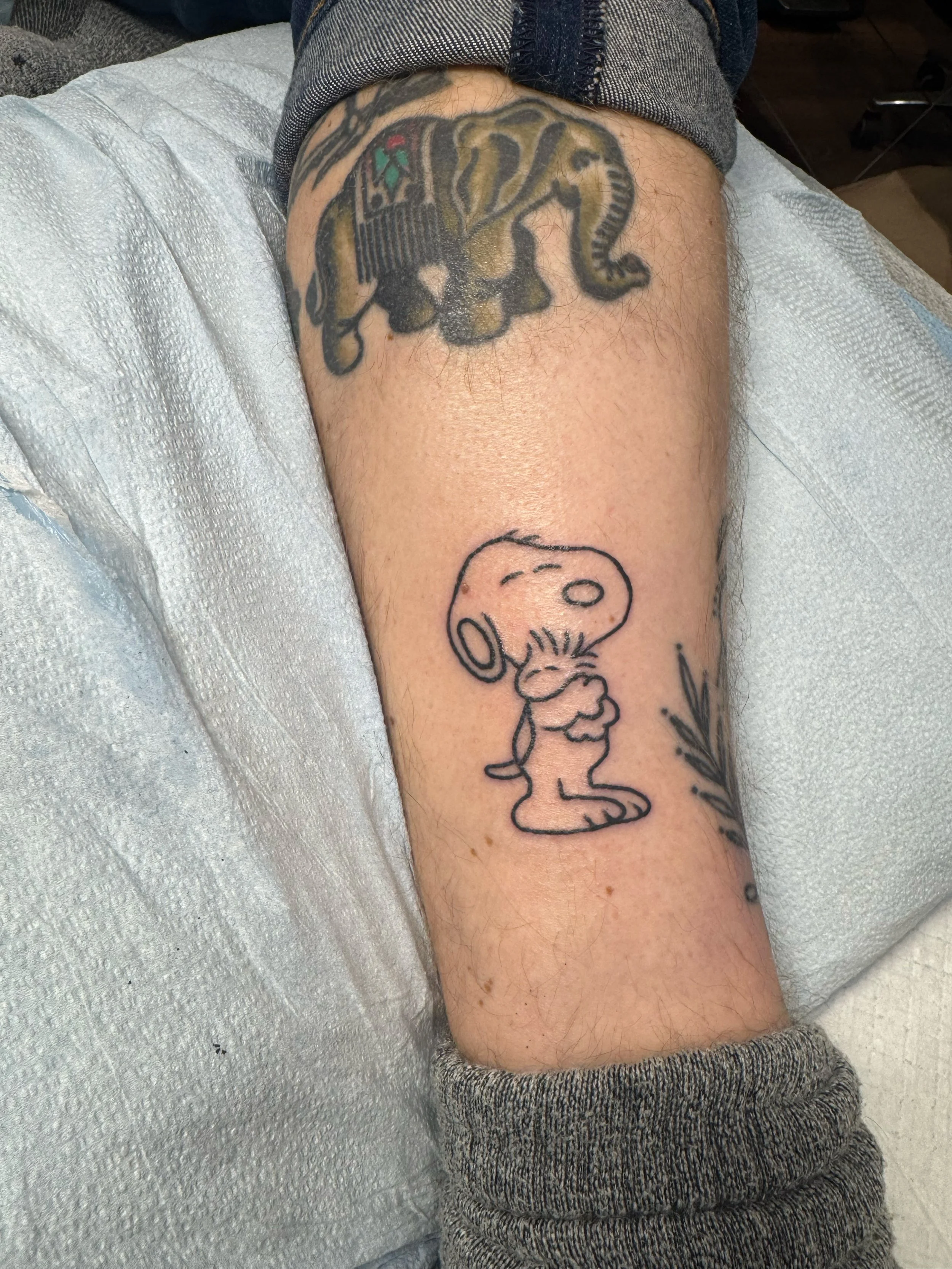 A person's arm with two tattoos: one of a tiger with a beard and earrings, and another of a cartoon character Snoopy hugging a small Woodstock bird.