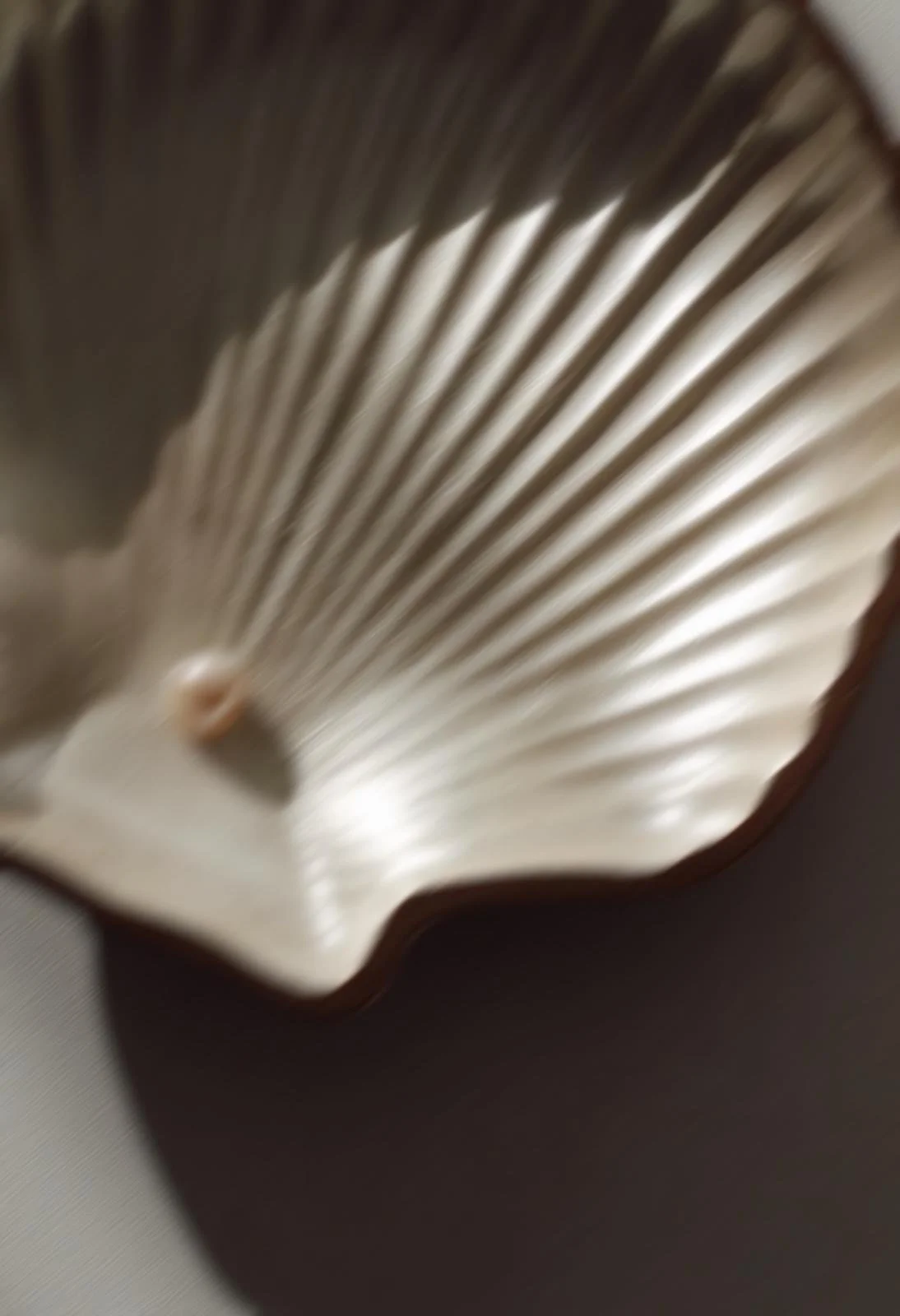 Un offenes Büchlein mit leeren, weißen Seiten, fotografiert in einem Winkel.