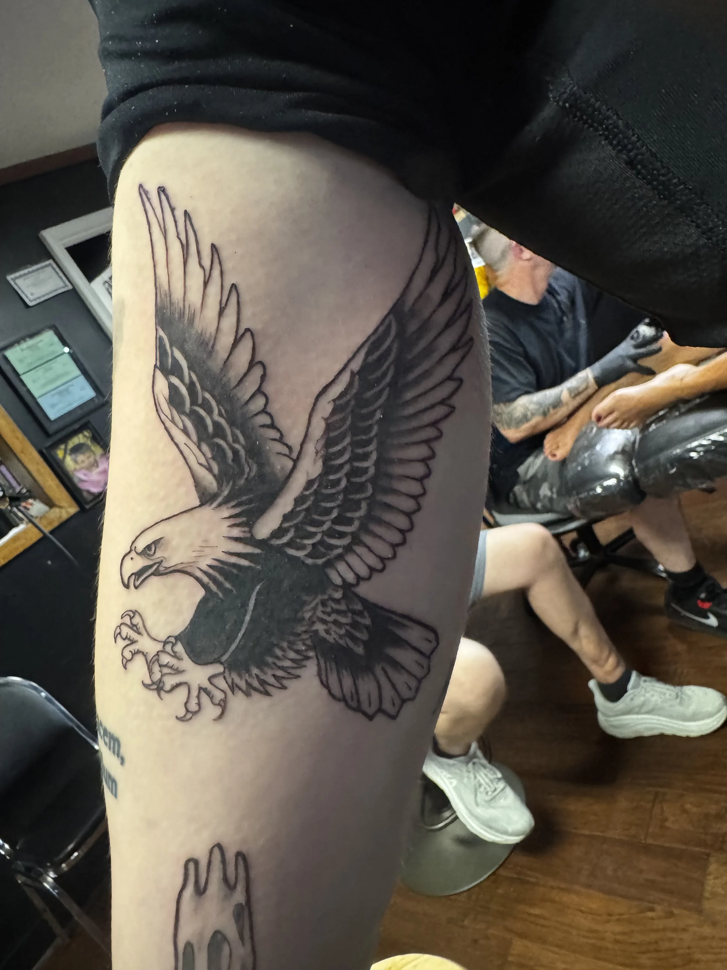 Traditional Eagle