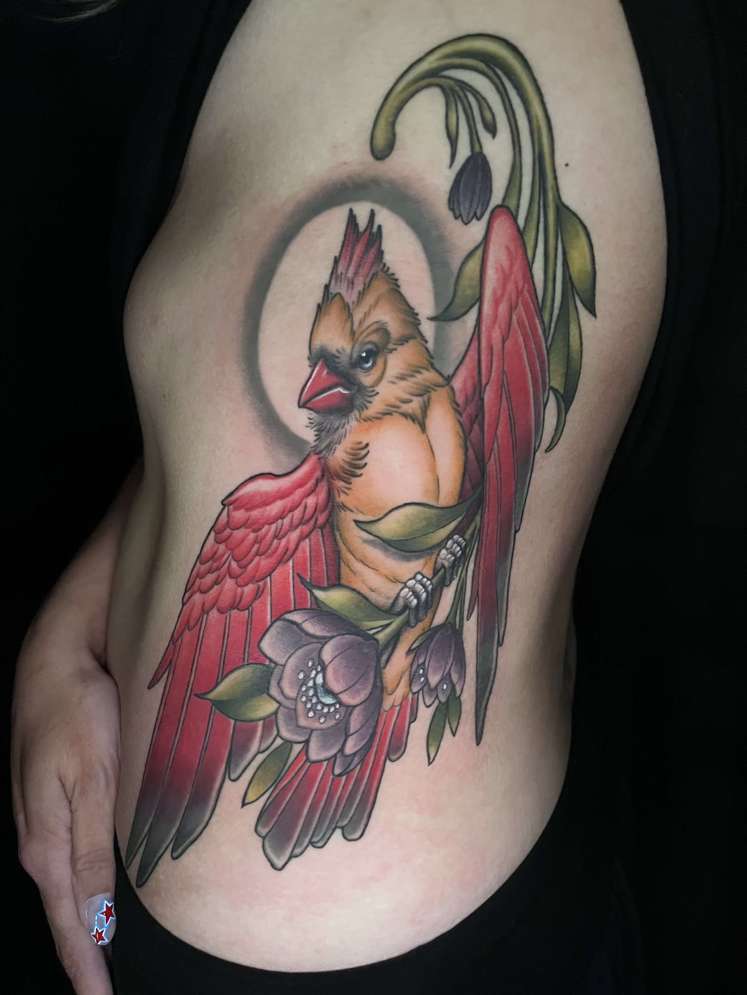 Female Cardinal