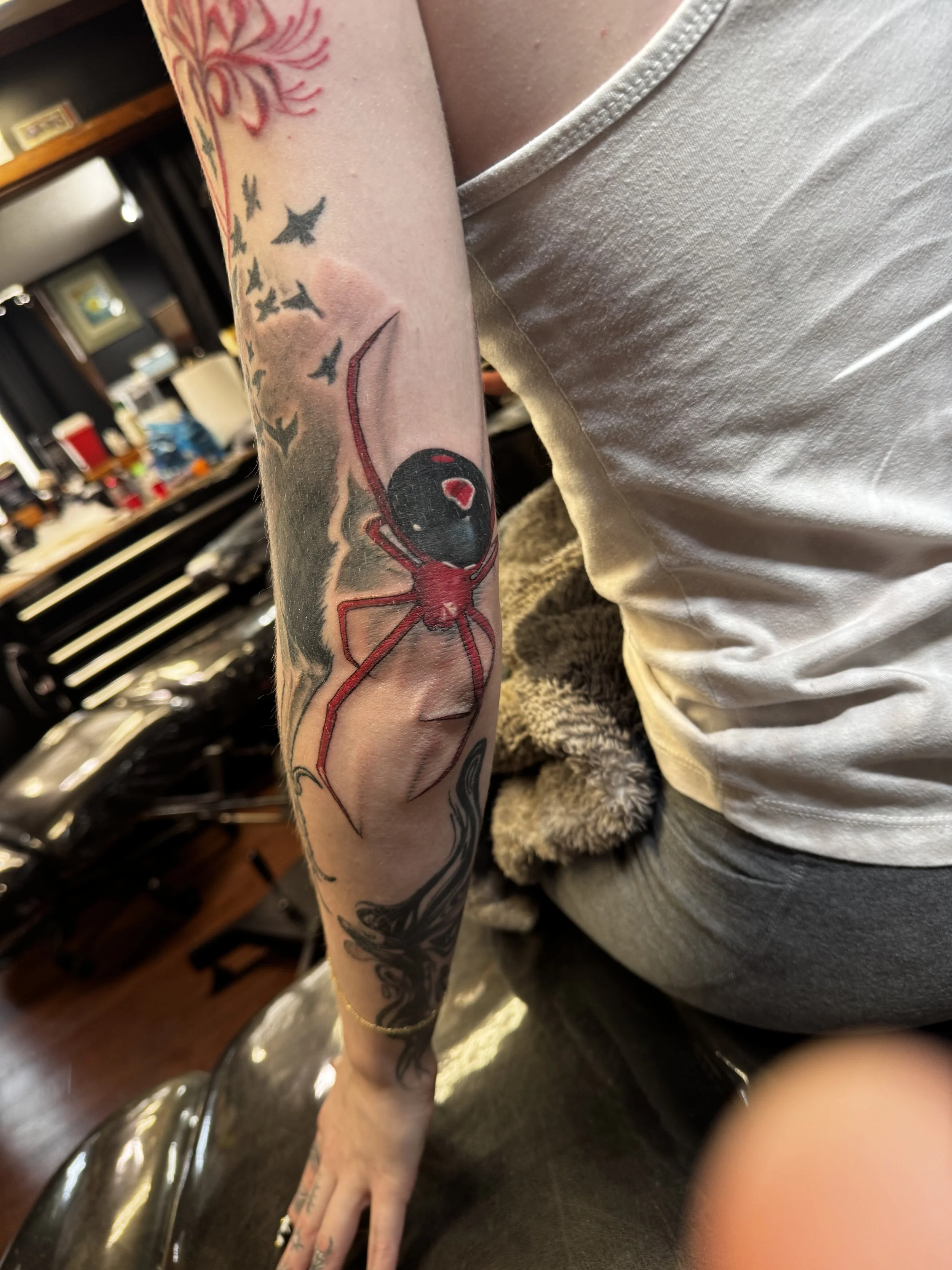 Spider