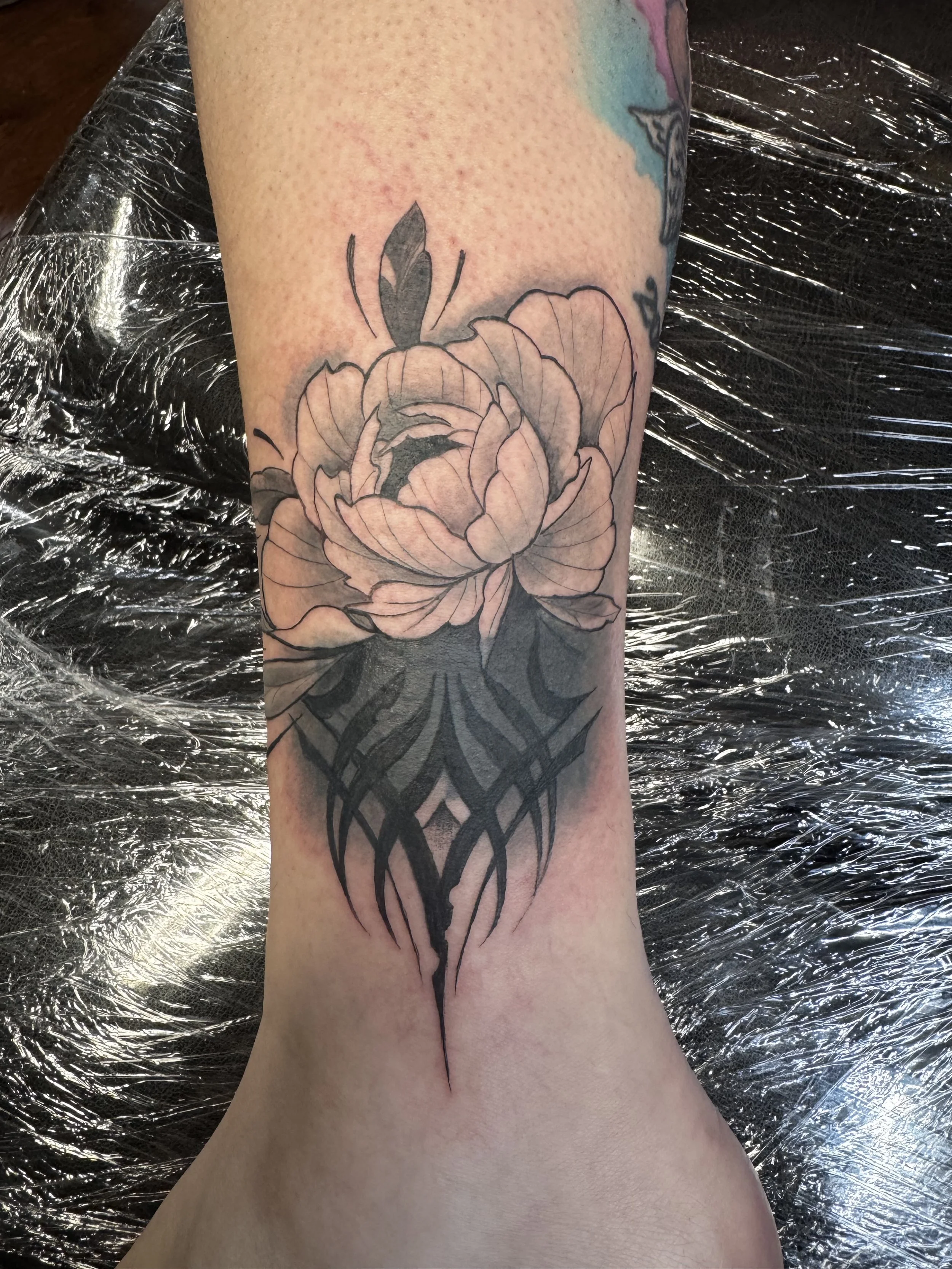 Cover Up