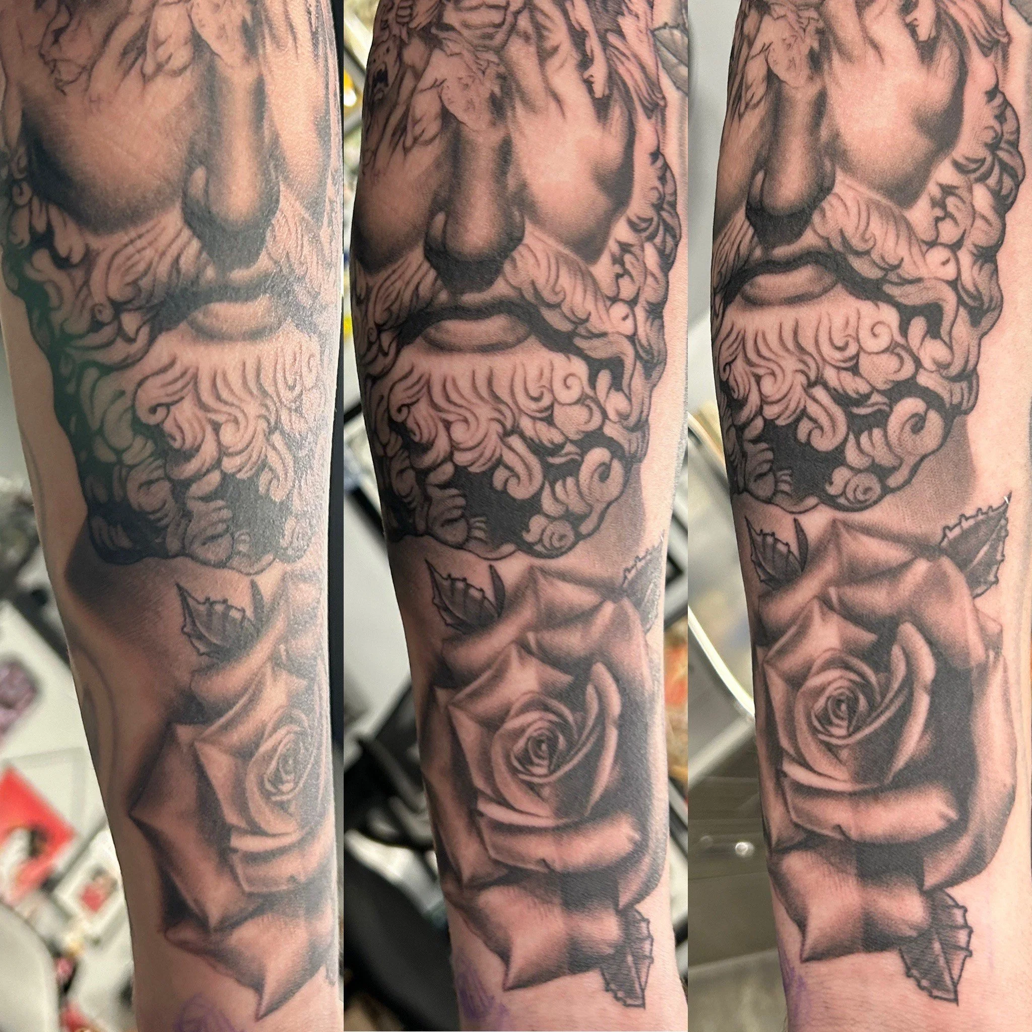 Transition with Rose