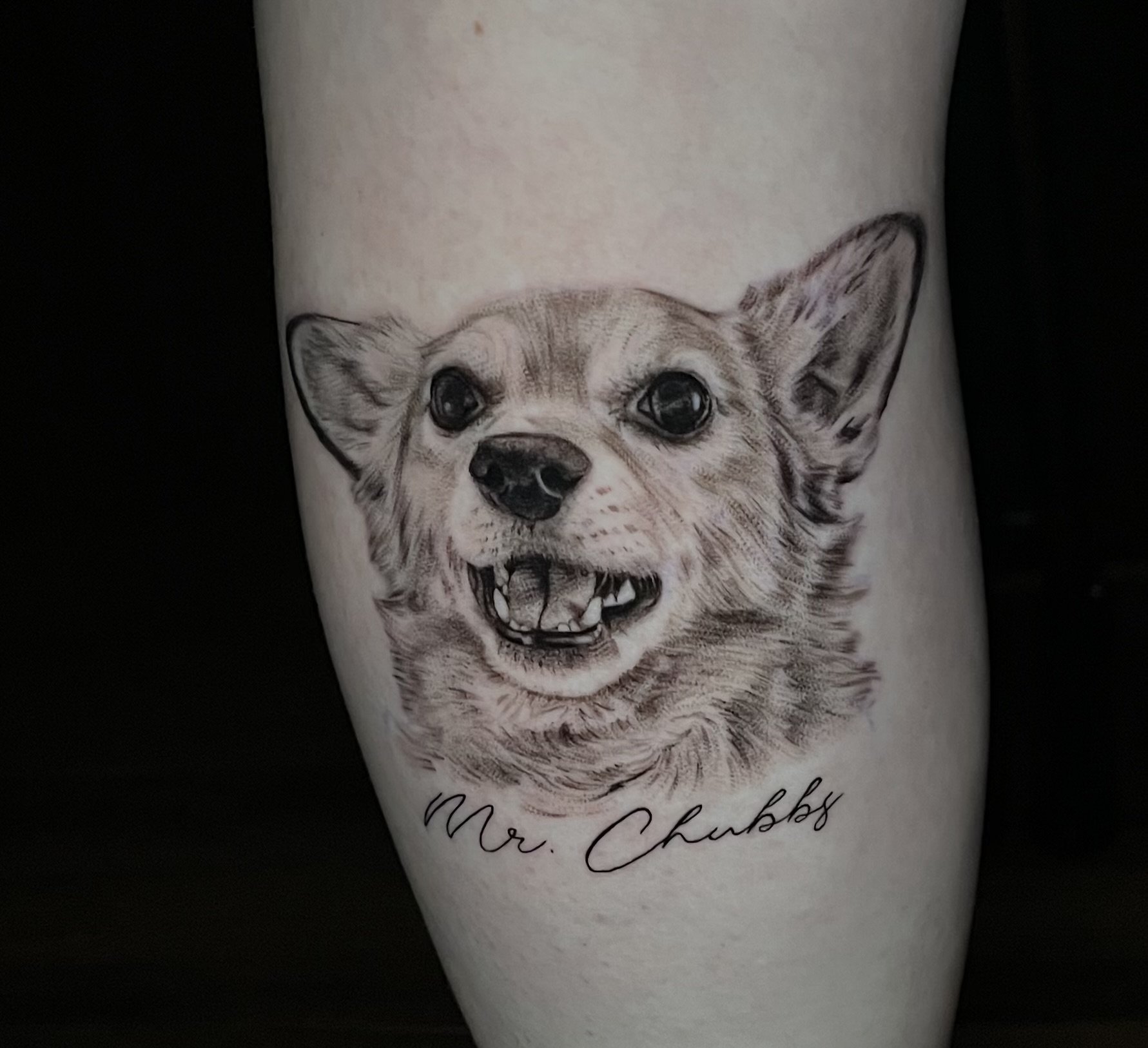 Mr. Chubbs