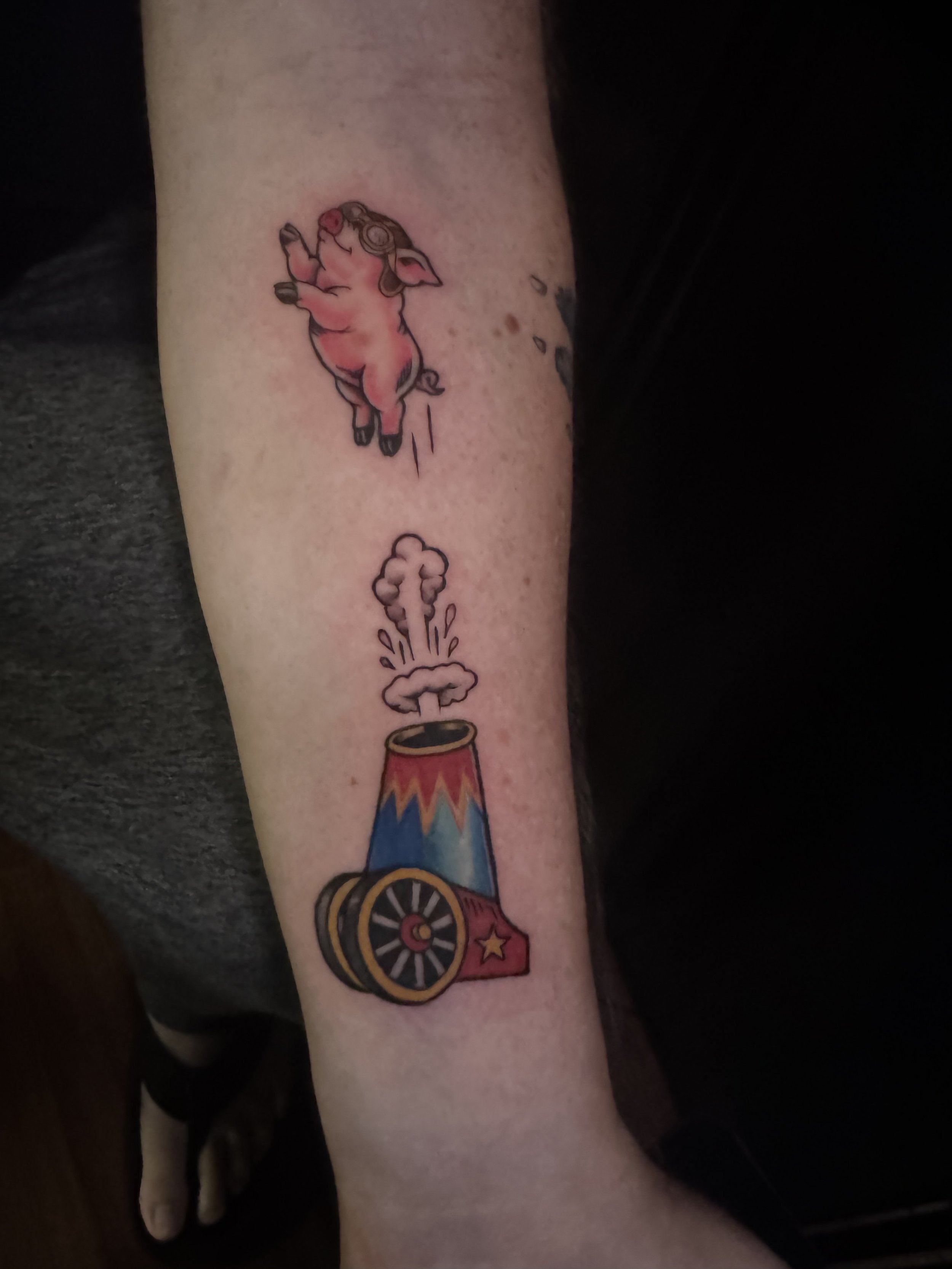 Cannon Pig