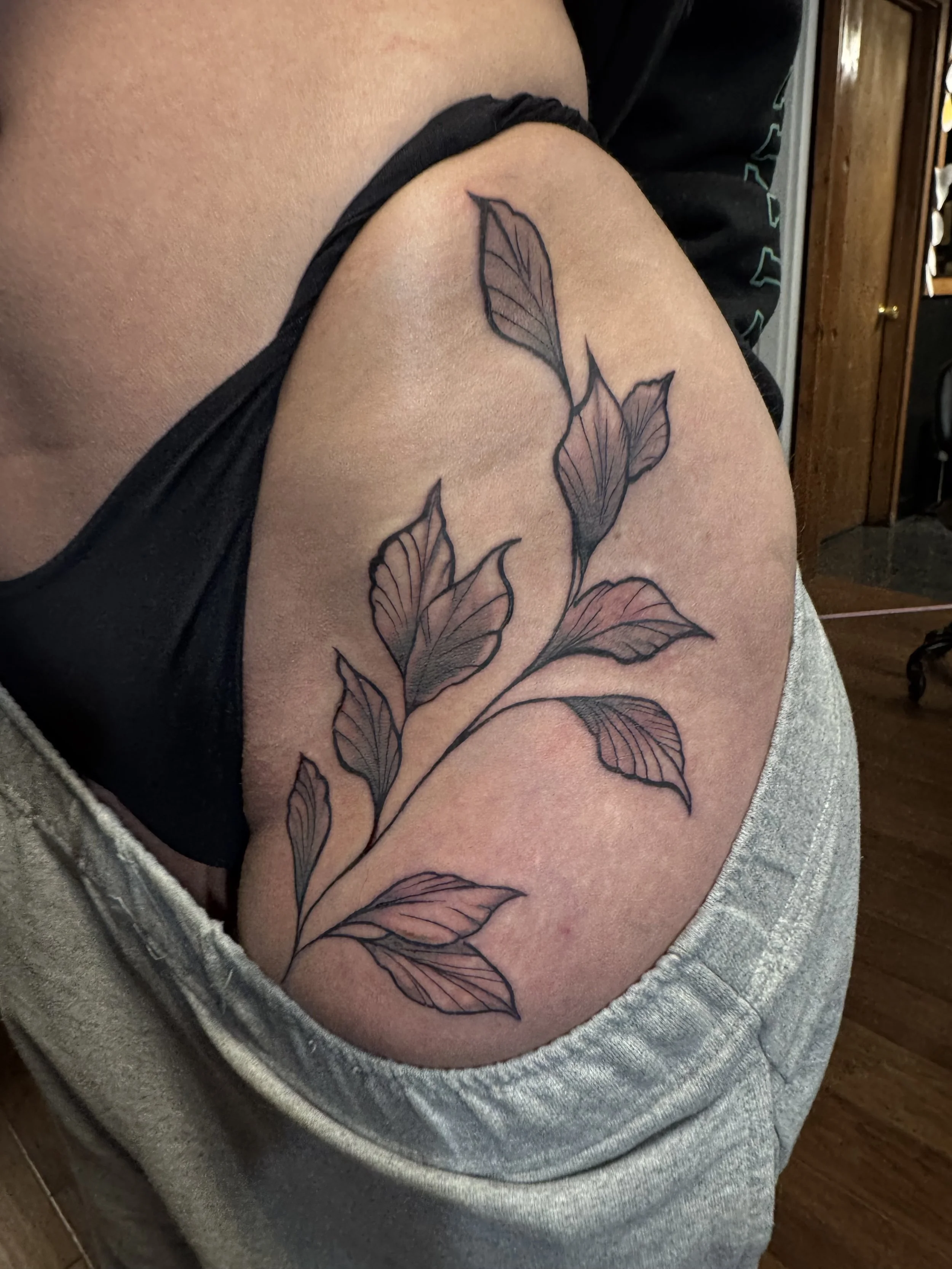 Vines