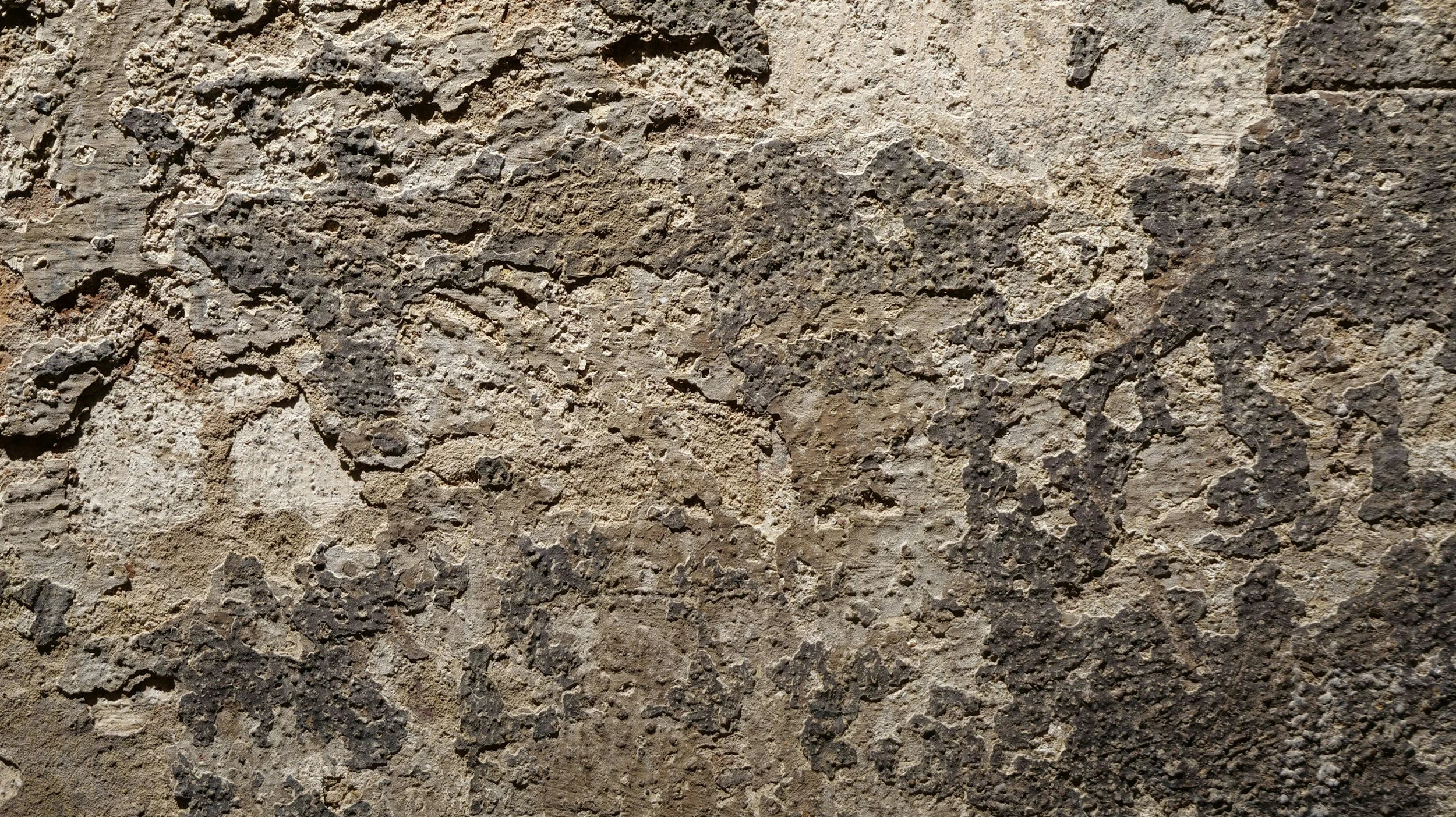 Close-up view of a textured stone or concrete wall surface with various shades of brown and gray.
