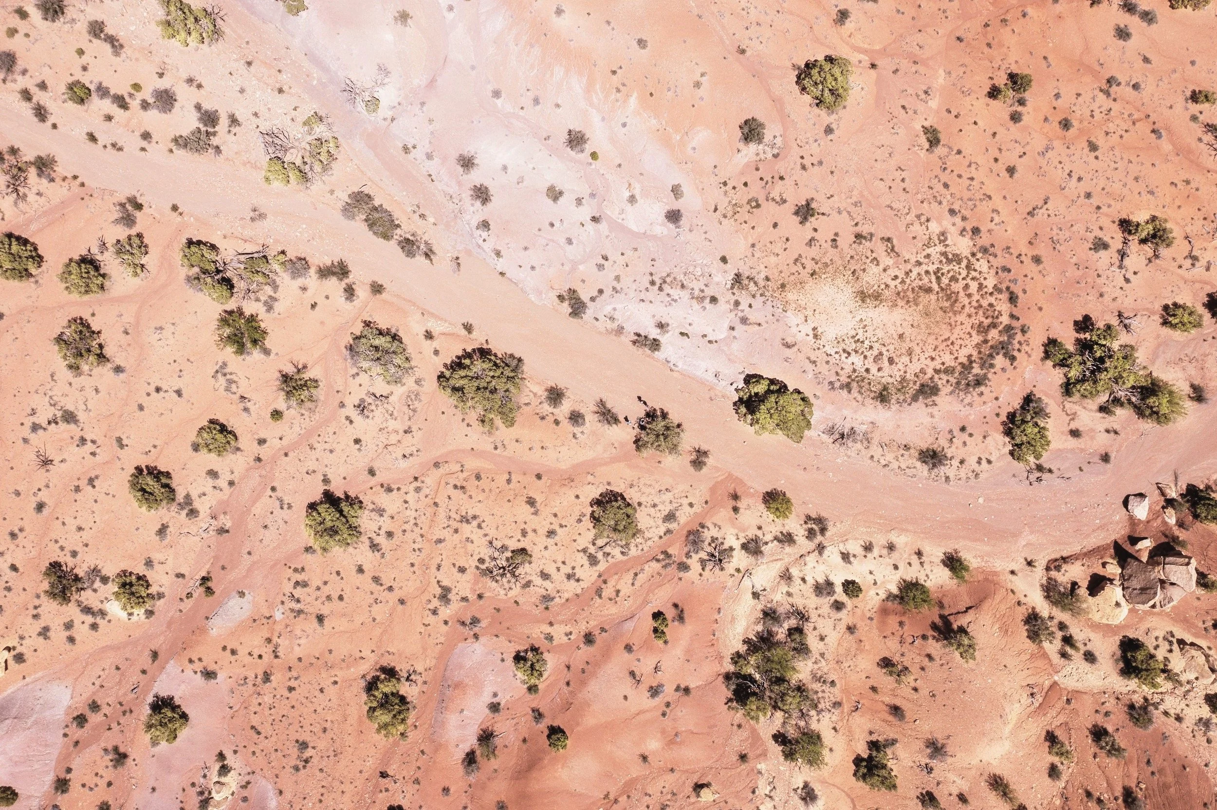 An aerial view of a desert landscape with scattered trees, dirt paths, and a rocky formation on the right side.