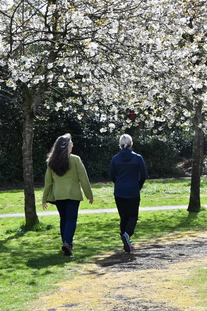 Rear view of two people walking and talking in a park on a sunny day with trees in blossom