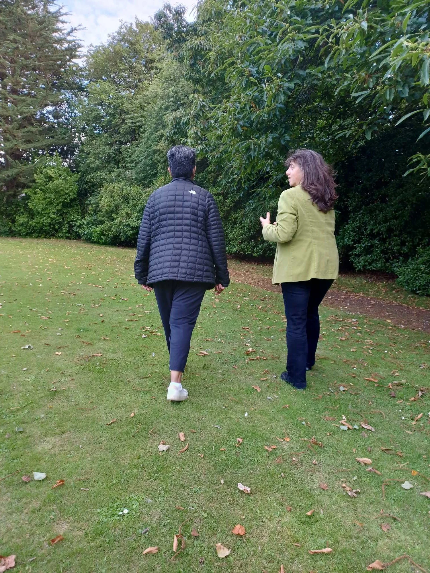 Walk and Talk therapy session taking place in a woodland setting