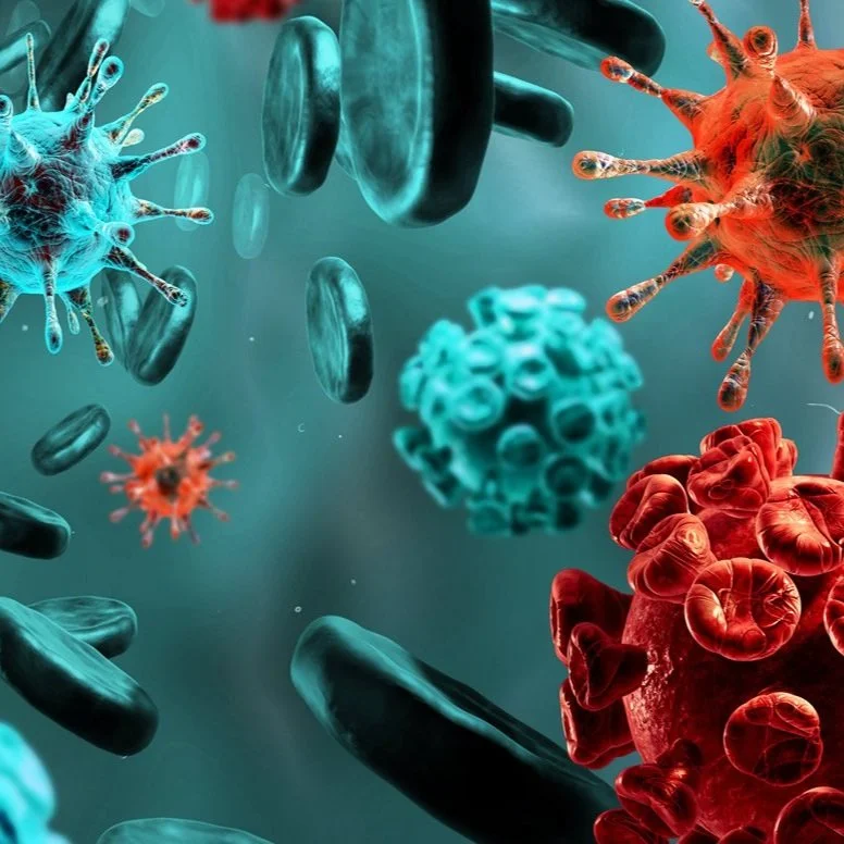 immunology.jpg