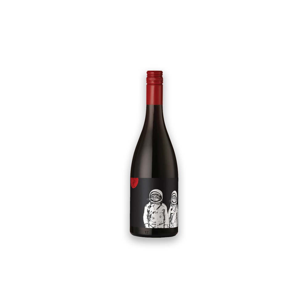Felicette Cats in Space Grenache 750 WEB.png