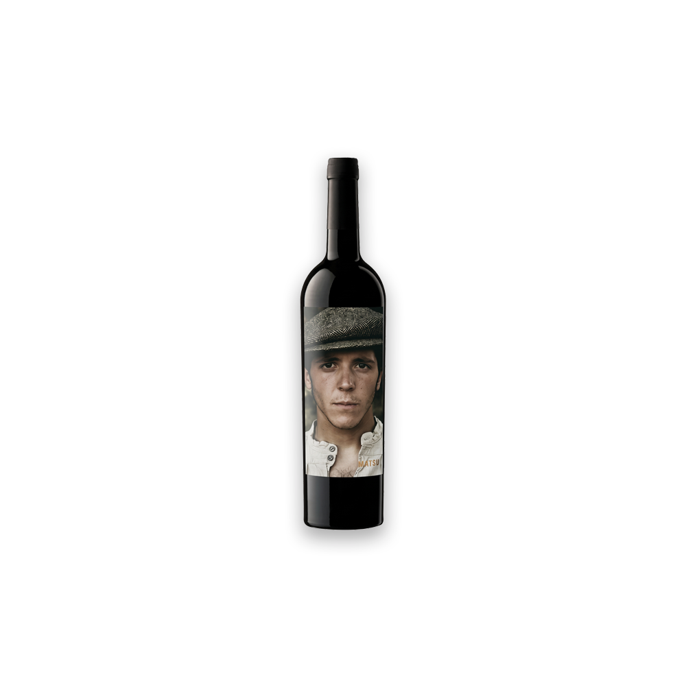 Matsu Picaro 750 WEB.png