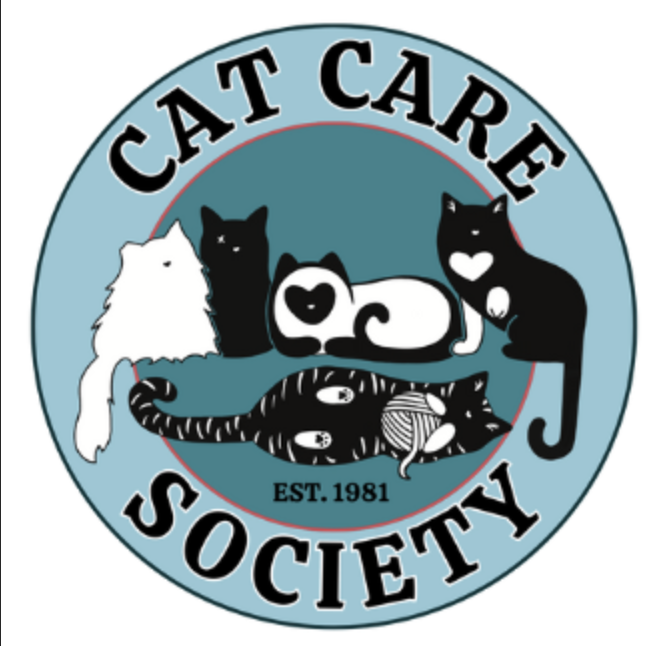 cat care society yoga 