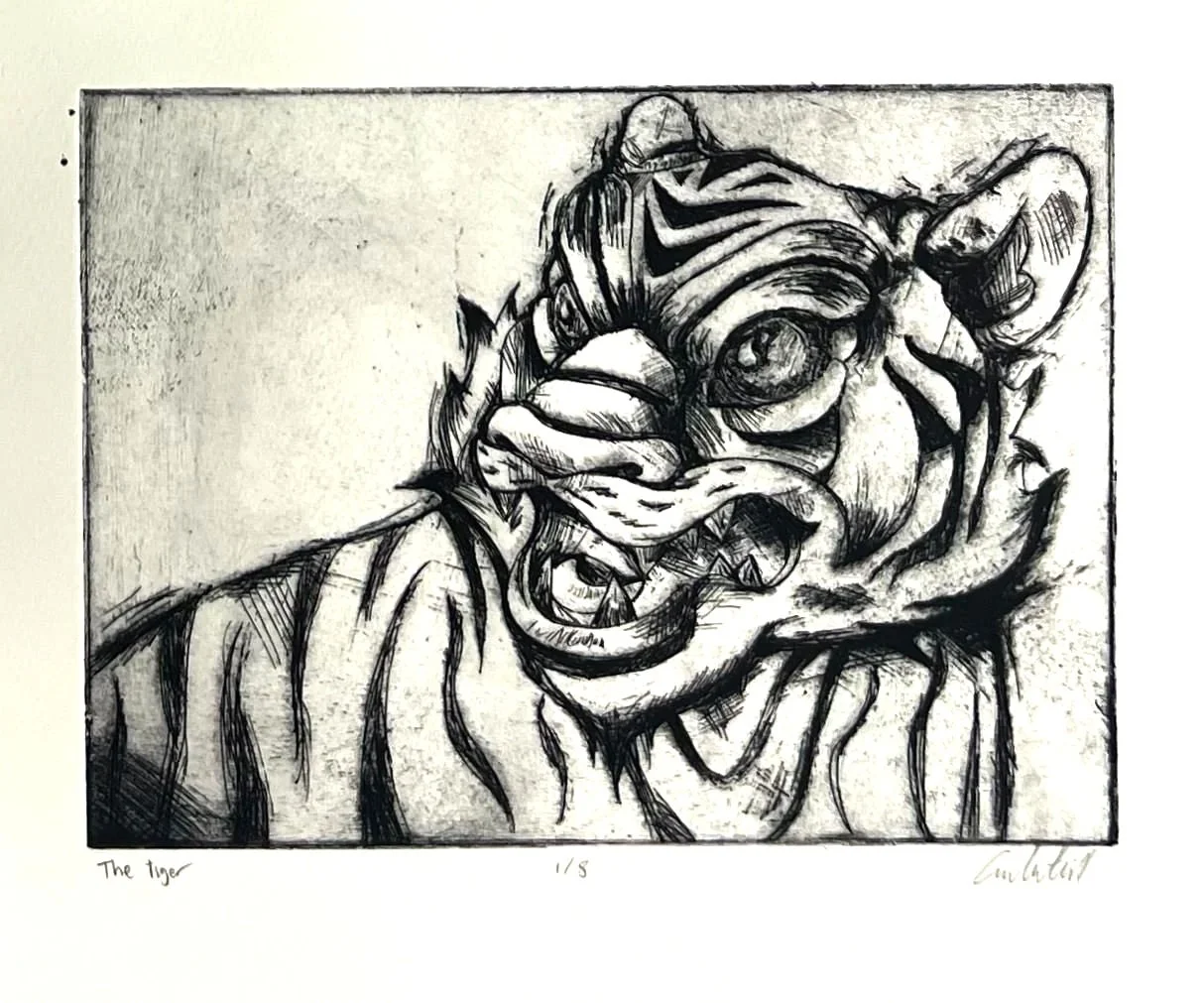 Tiger, intaglio print, 2025