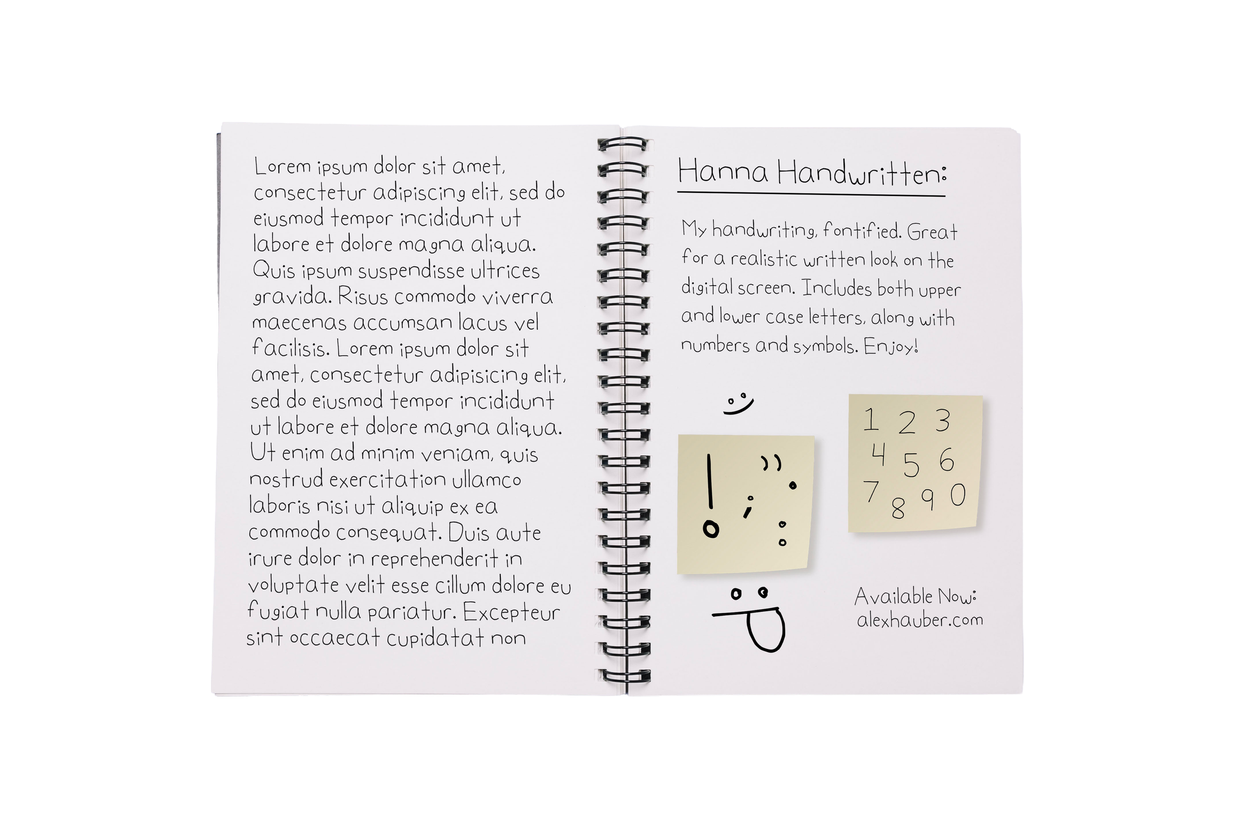 Hanna Handwritten Book no Bg.png