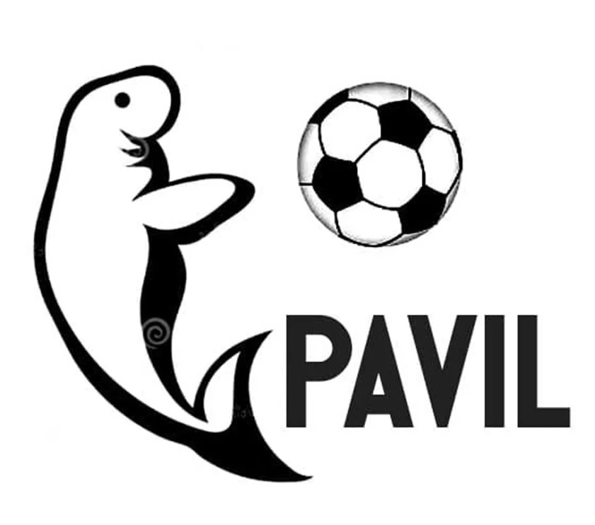 PAVIL TRAVEL