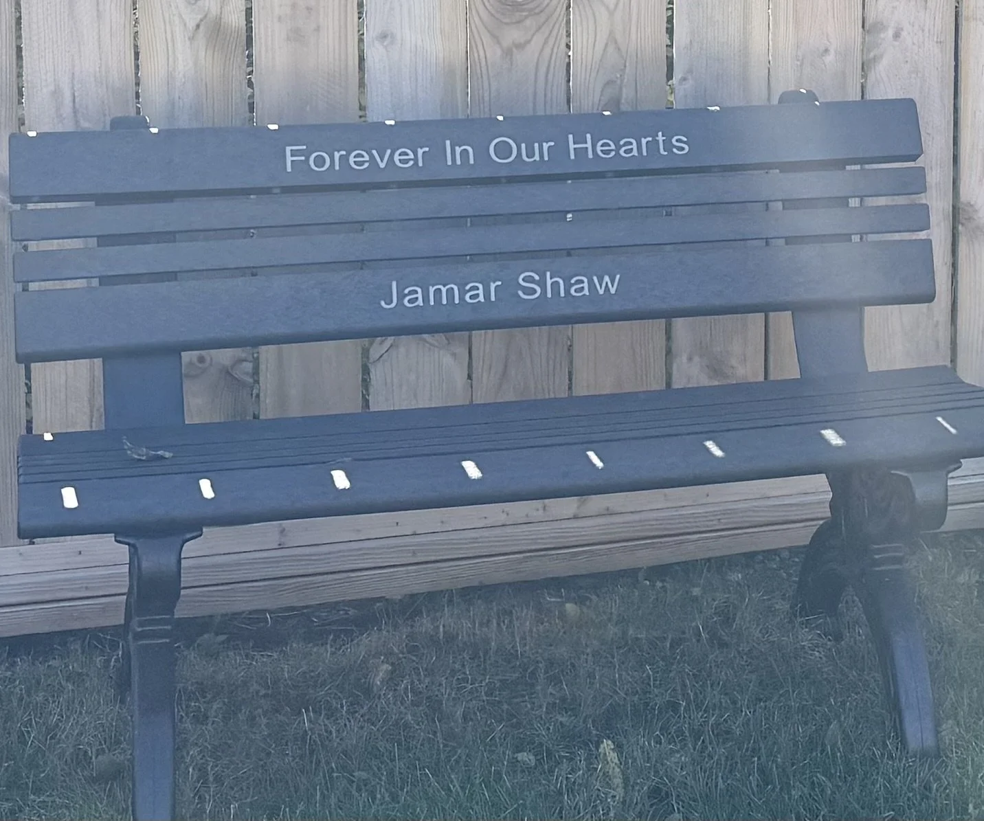 Memorial Bench