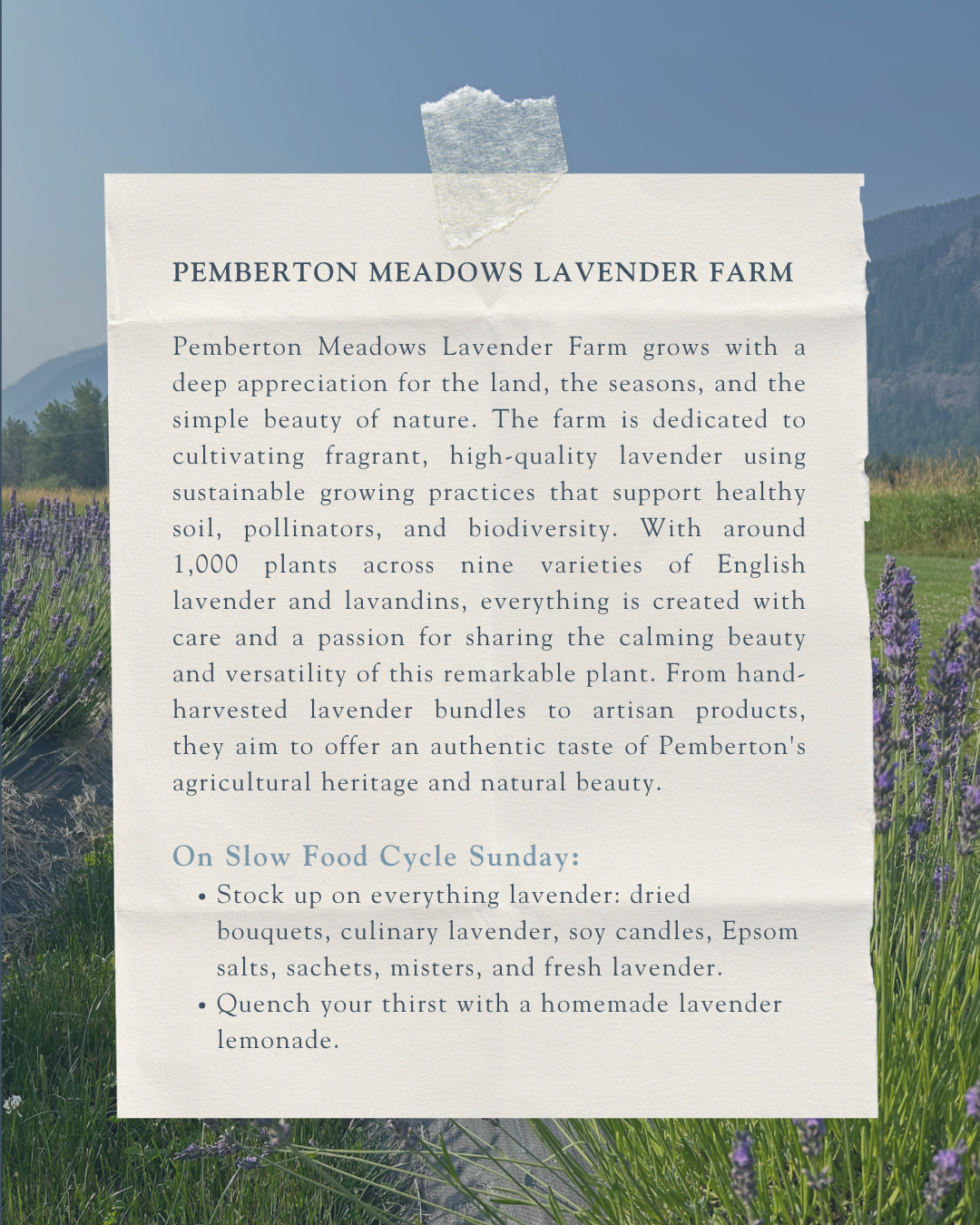 PM Lavender Farm (1).png