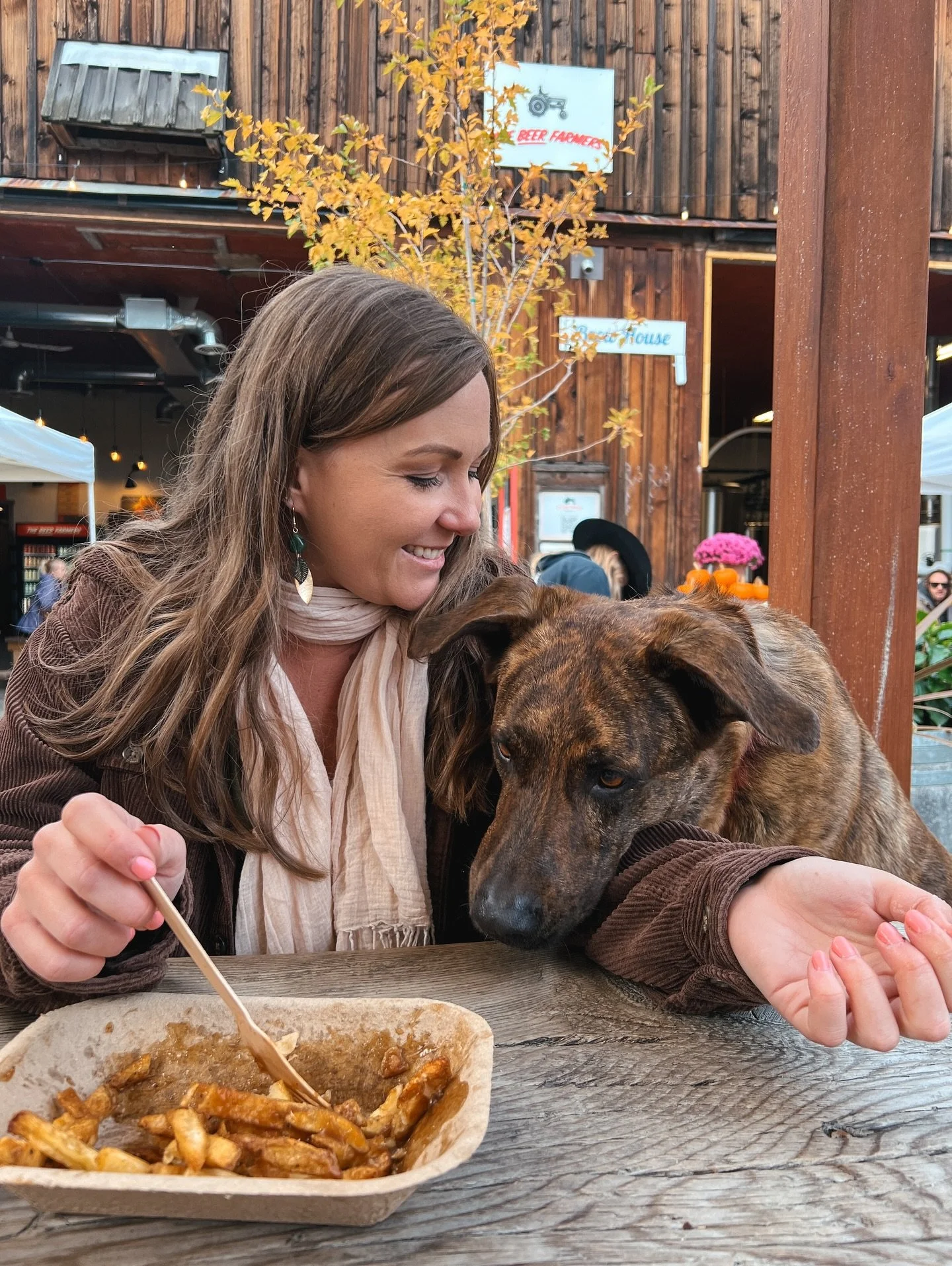 Drool-worthy poutine at @thebeerfarmers thanks to @welcometo.millersfries🍺👩🏻&zwj;🌾

Not only does the @thebeerfarmers serve home grown and brewed beer, delicious comfort food, stunning views (and soon a pumpkin patch 🎃), it&rsquo;s also pup frie