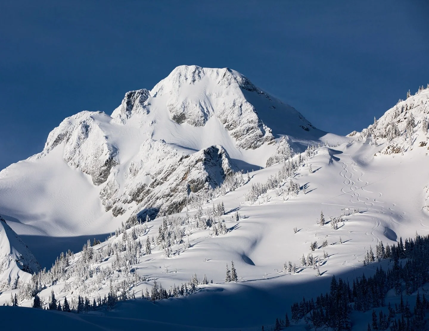 Beyond the resort, into the wild.

📍Pemberton, British Columbia

Image: @craigbarkerphoto 

#pemberton #britishcolumbia #canada #winter #skiing
