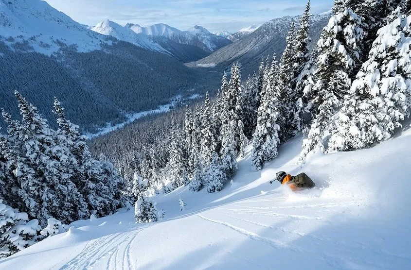 This is what ski-touring dreams are made of. Out in the McGillivray Pass, effort meets maximum reward.

Fly into a remote alpine lodge surrounded by incredible terrain and spend your days chasing deep lines with expert ACMG guides. Experience cozy lo